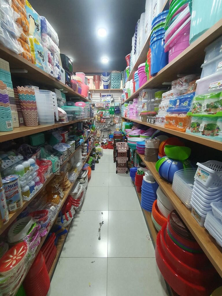 Household goods and chemicals shop Hozmag, Fergana Province, photo