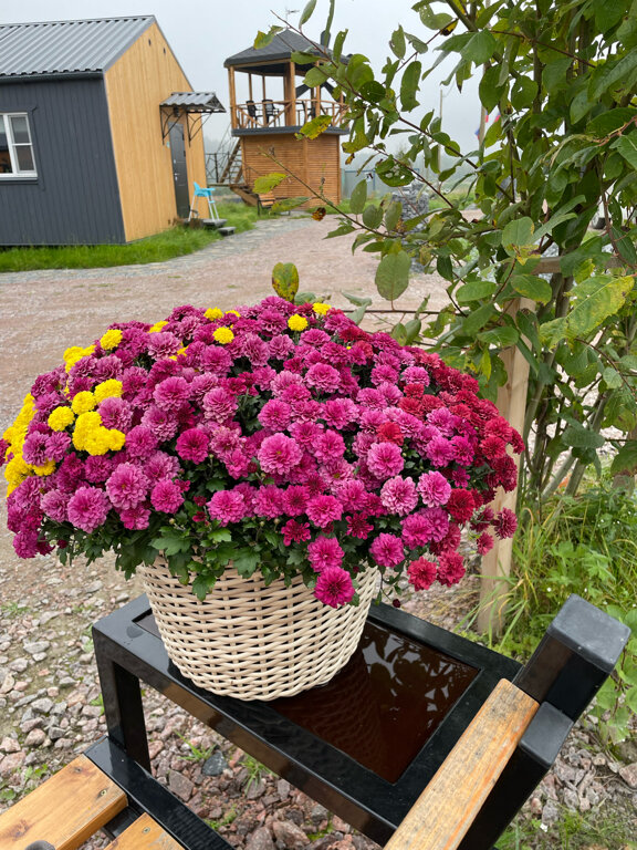 Фото Заячья пристань