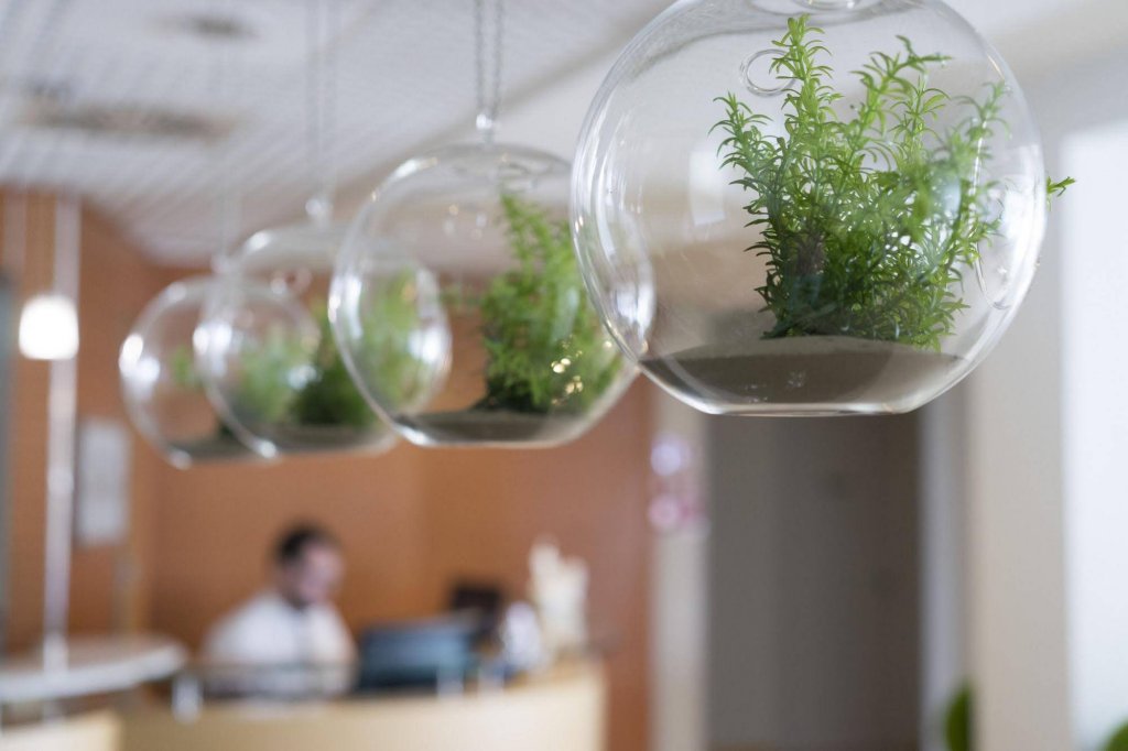 Фото Club Meeting Hotel