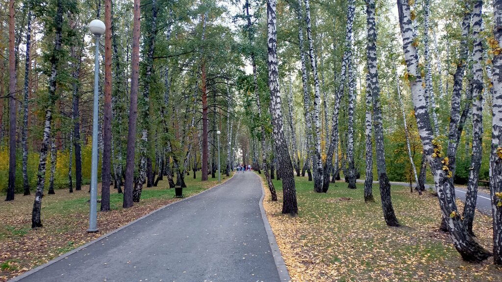 Парк культуры и отдыха Гилёвская роща 18, Тюмень, фото