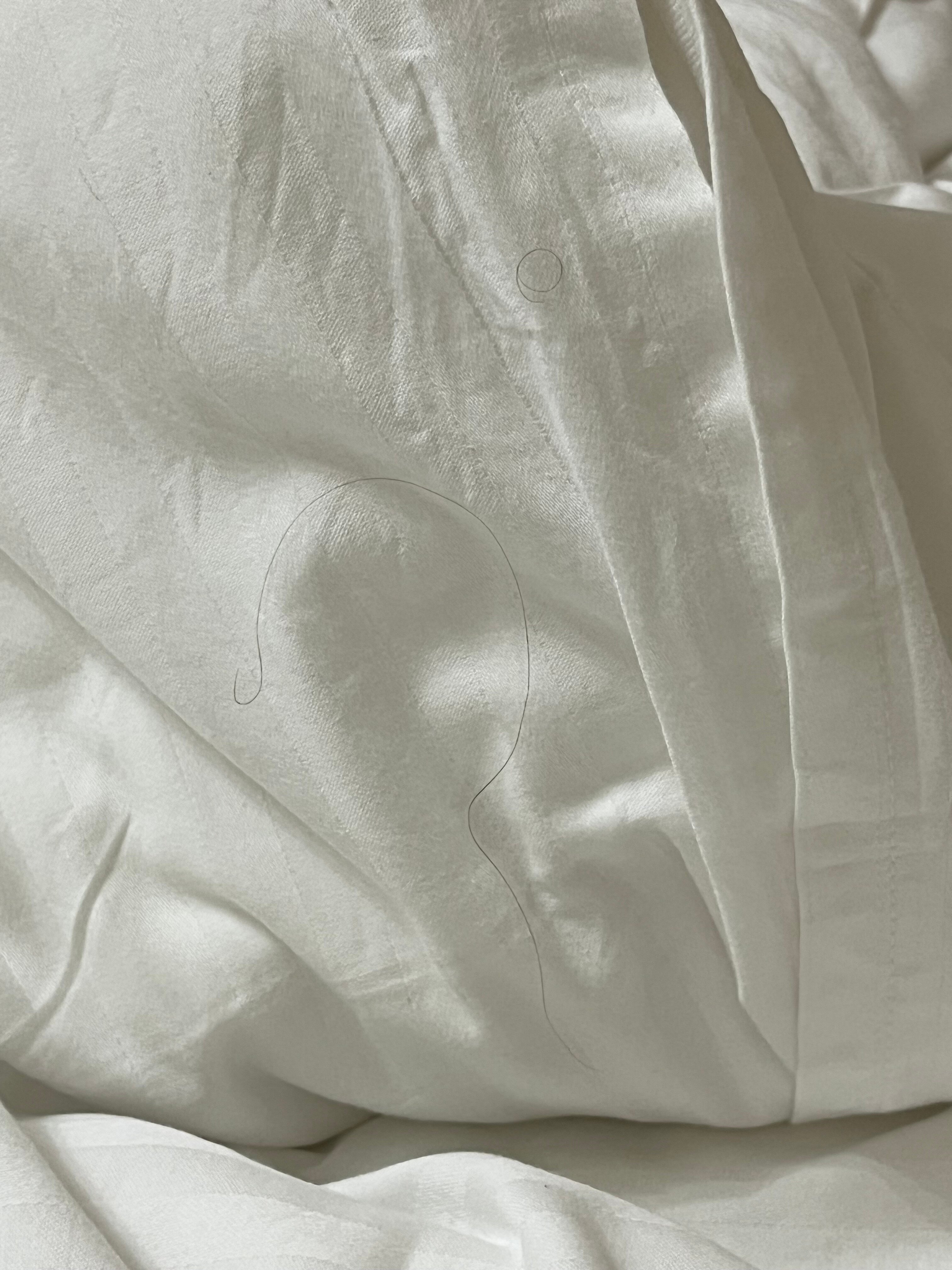 Фото Эдельвейс