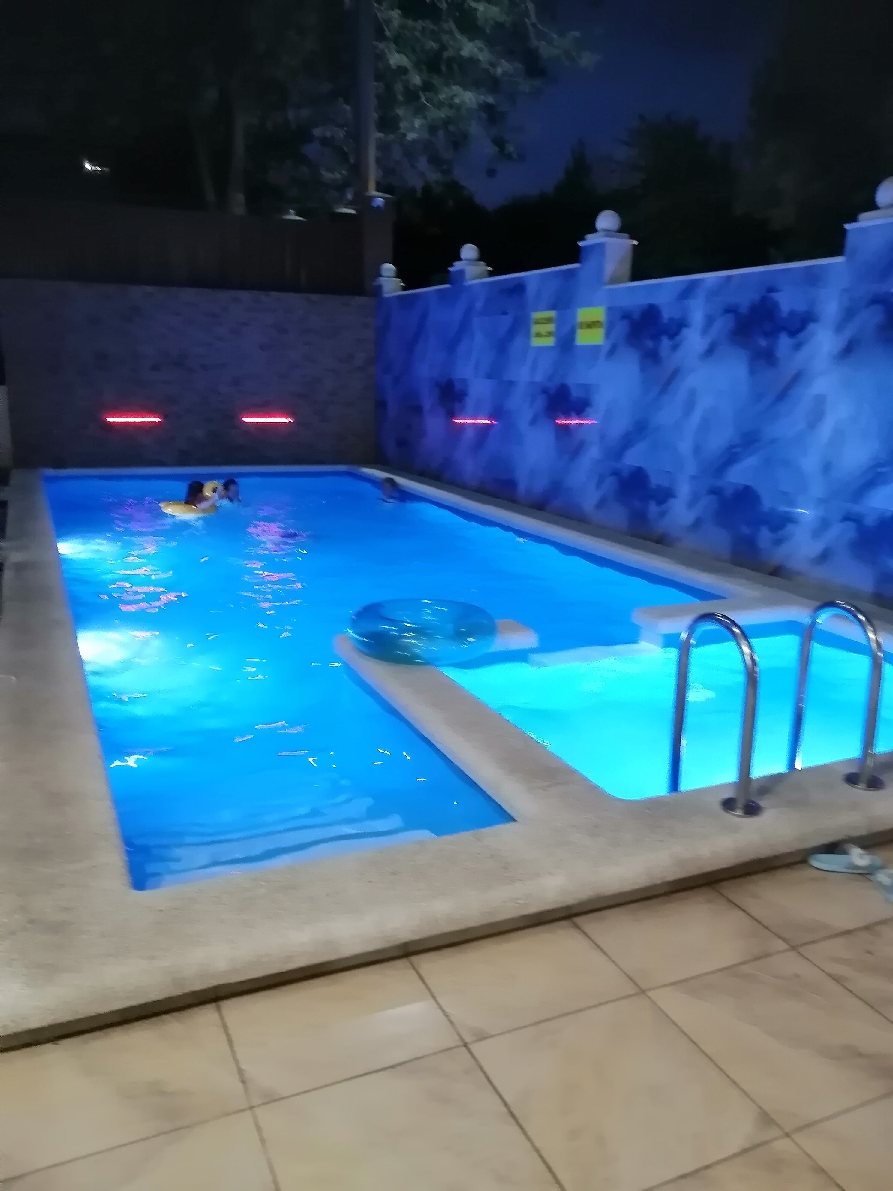 Фото Адонис