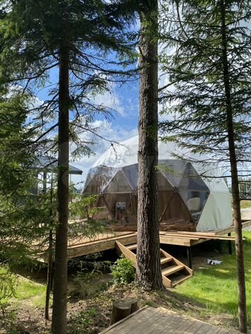 Фото На Венере у Игоры