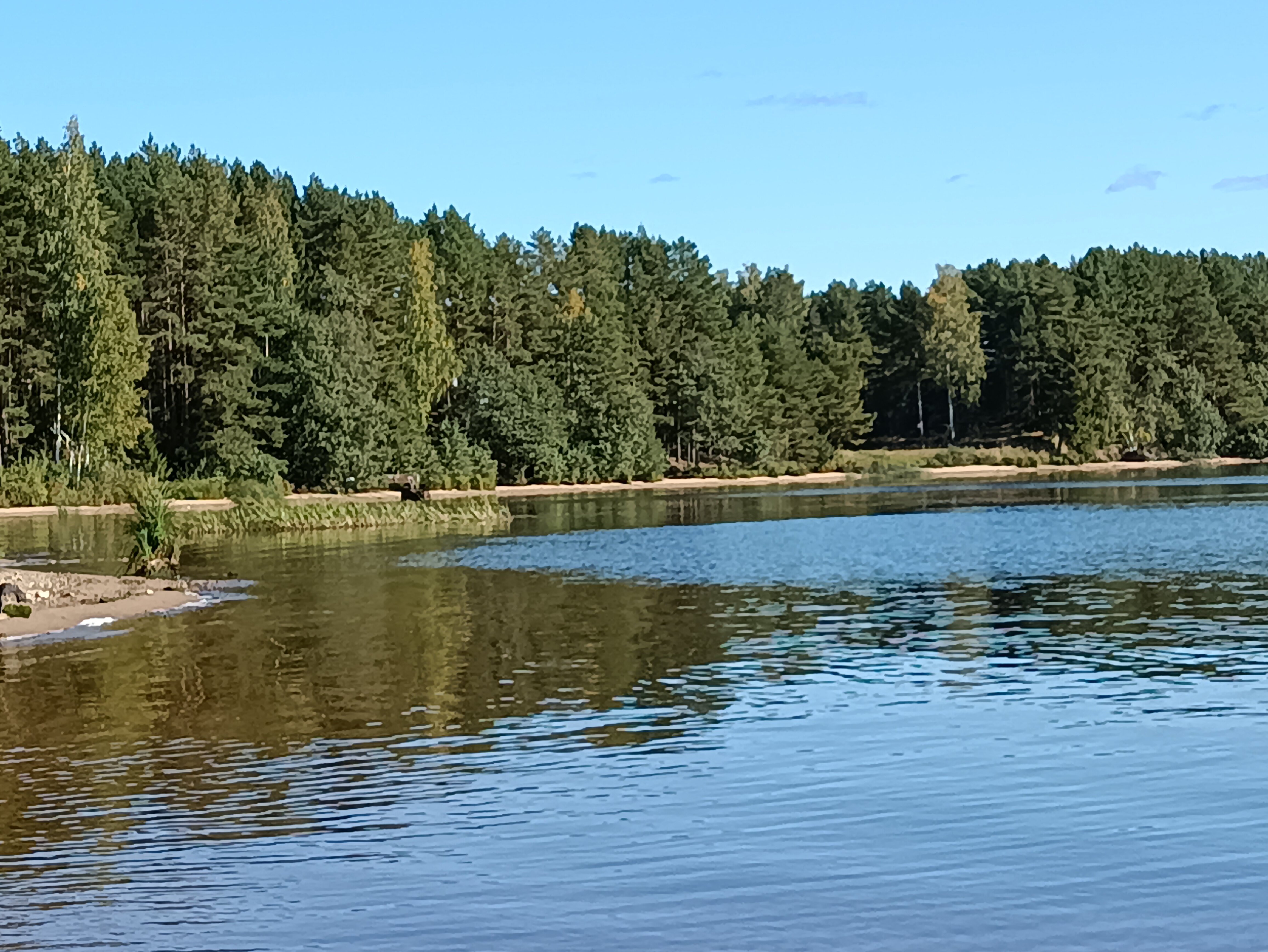 Фото Коттеджи в сосновом бору