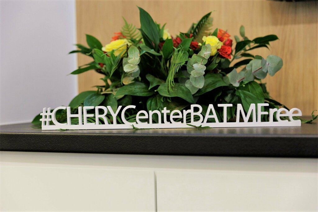 Tire service BaltAutoTrade-M, Chery, Moscow and Moscow Oblast, photo