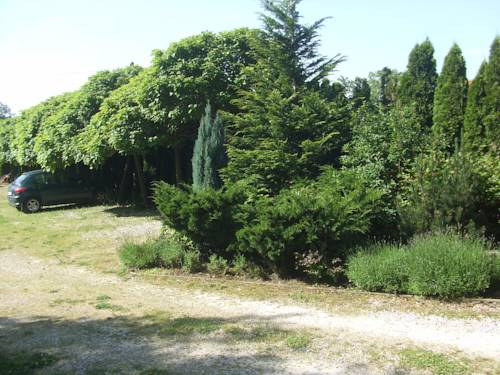 Фото Feng Shui Wellness Apartmanház