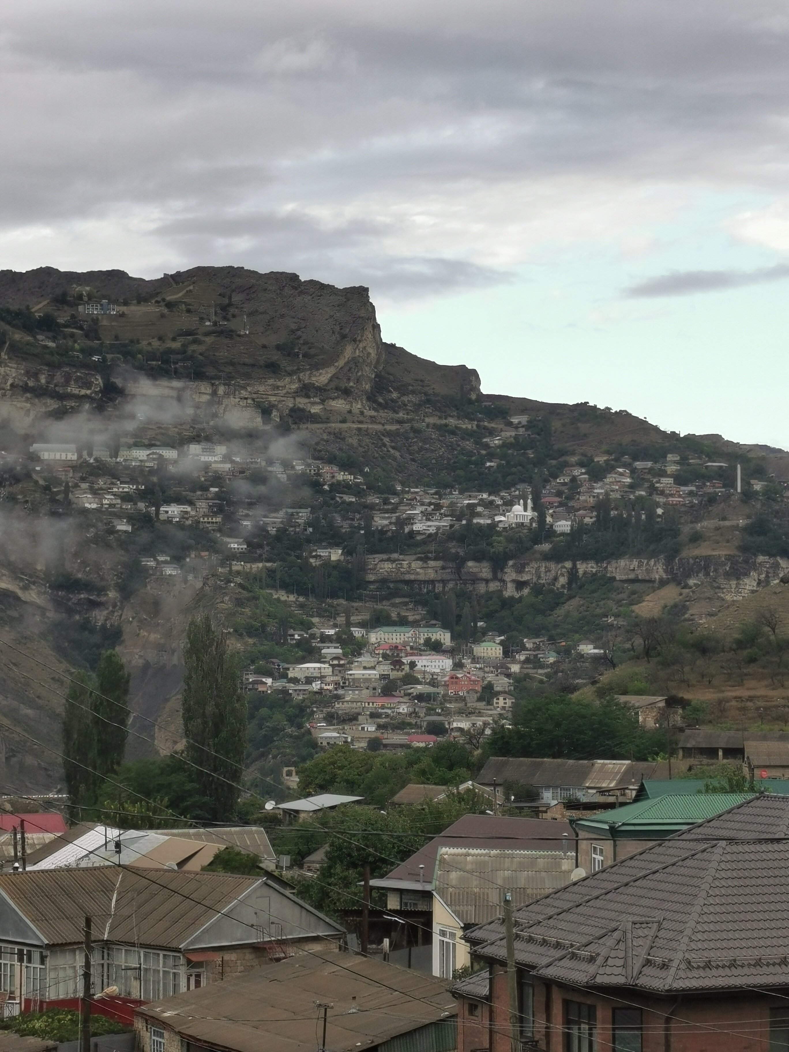 Фото Терраса 95