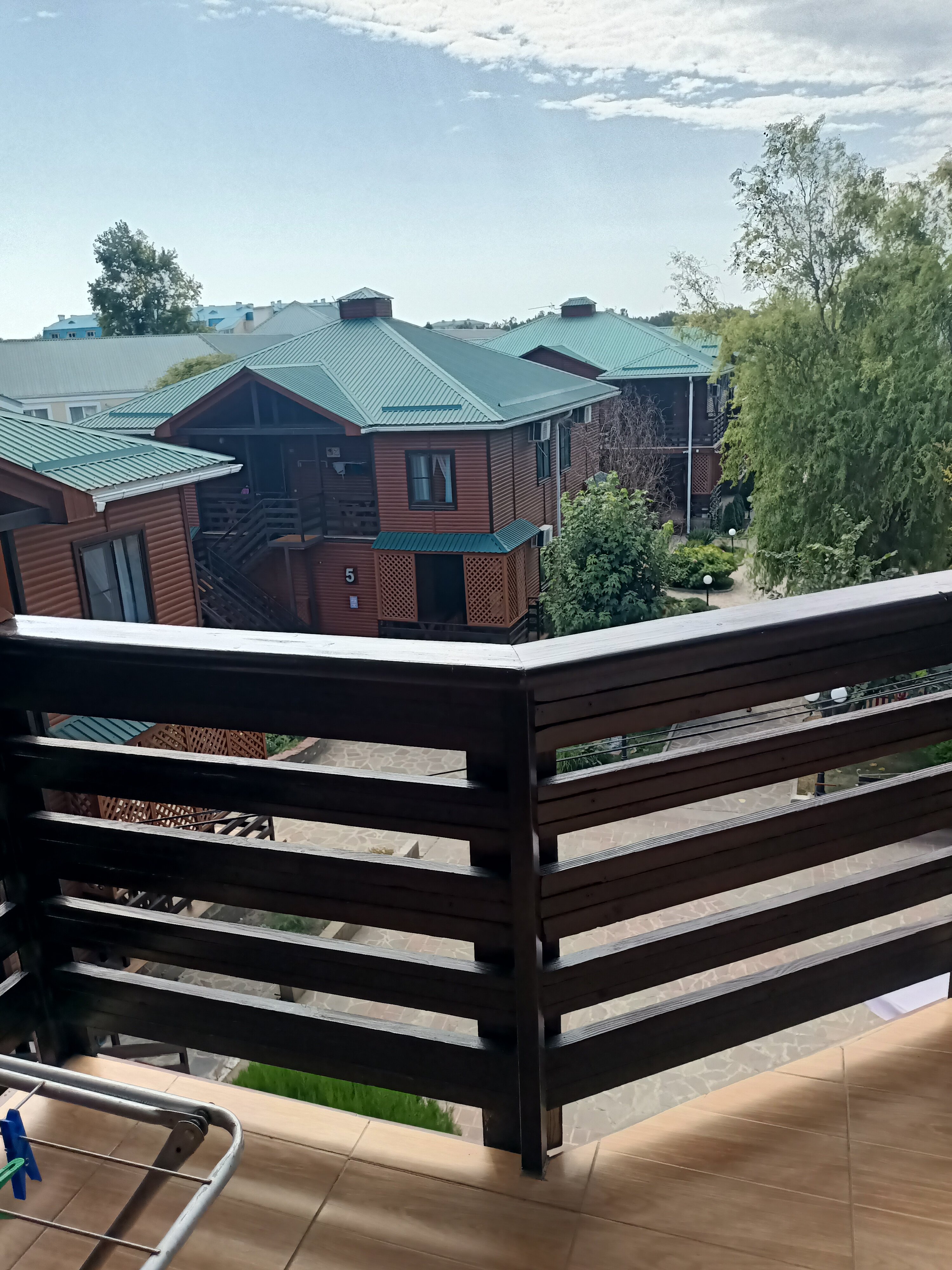 Фото Афалина