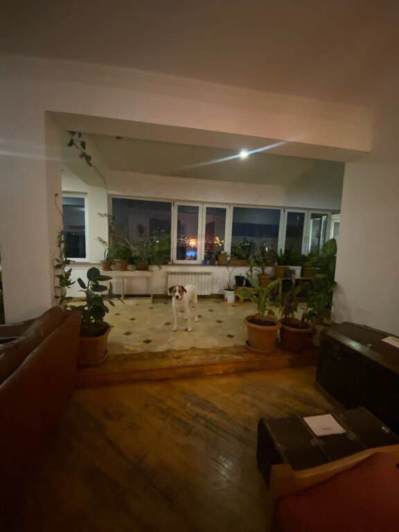 Фото Diwan Hostel