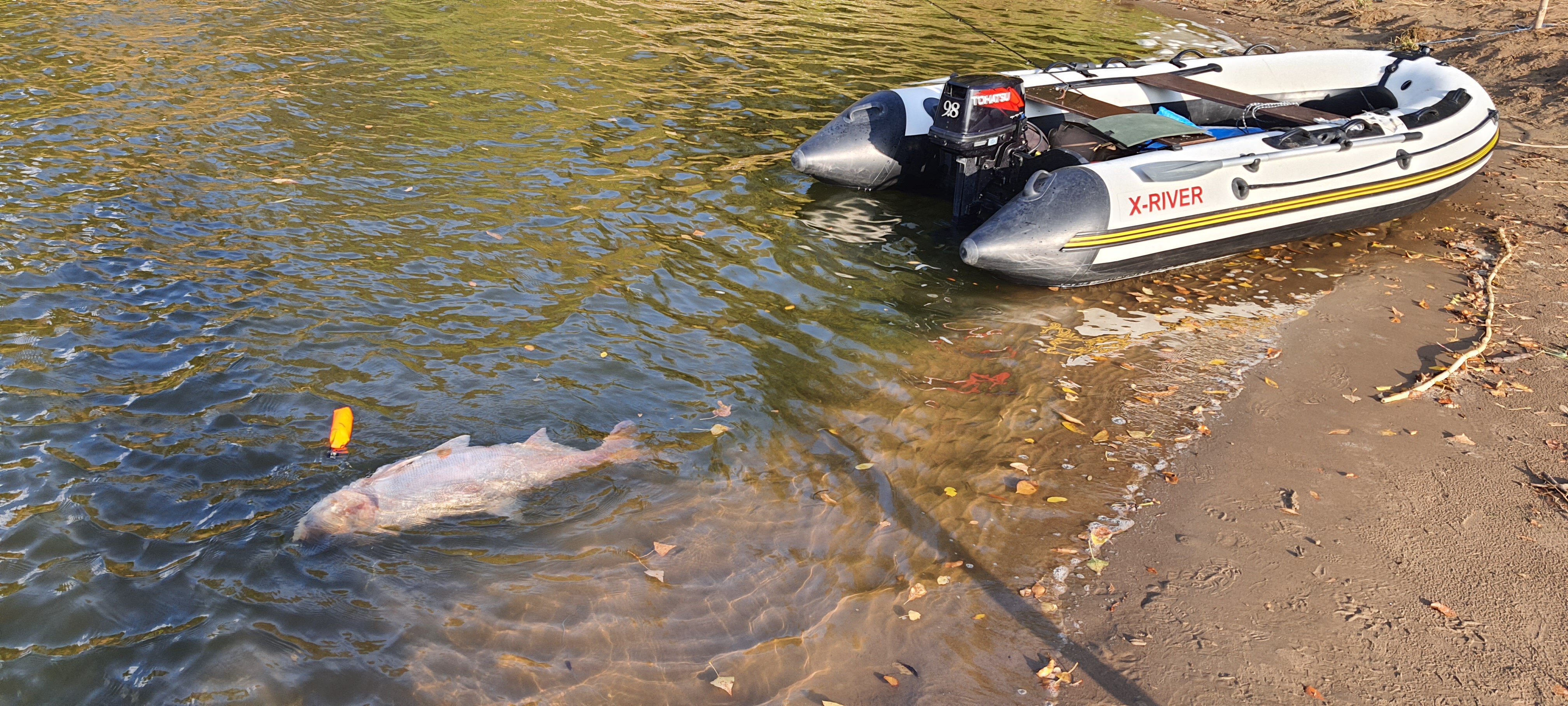 Фото База Звезда