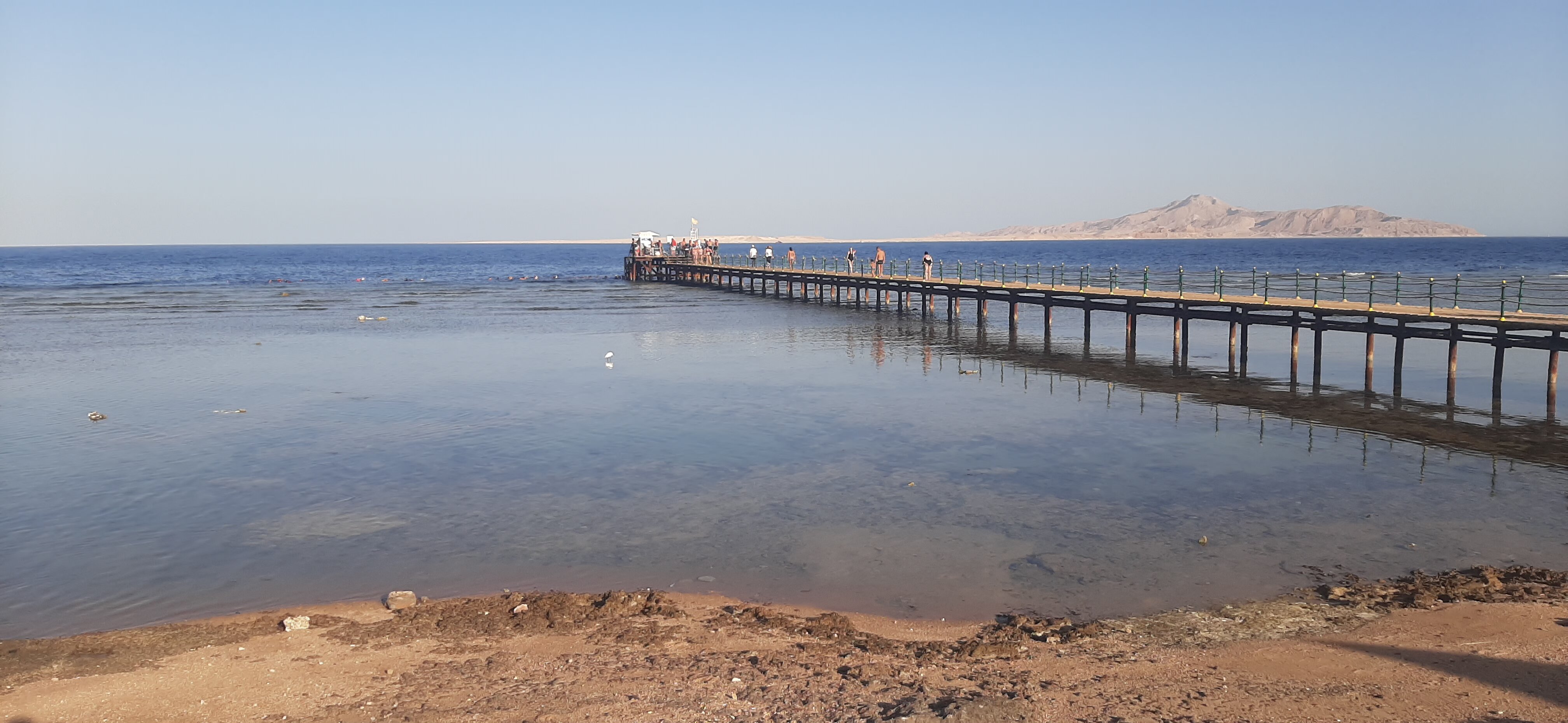 Фото Parrotel Beach Resort