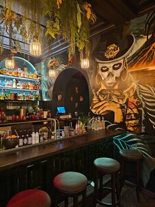 Idol tiki bar (округ Белград, Старый Город, улица Страхинича Бана, 59), бар, паб в Белграде