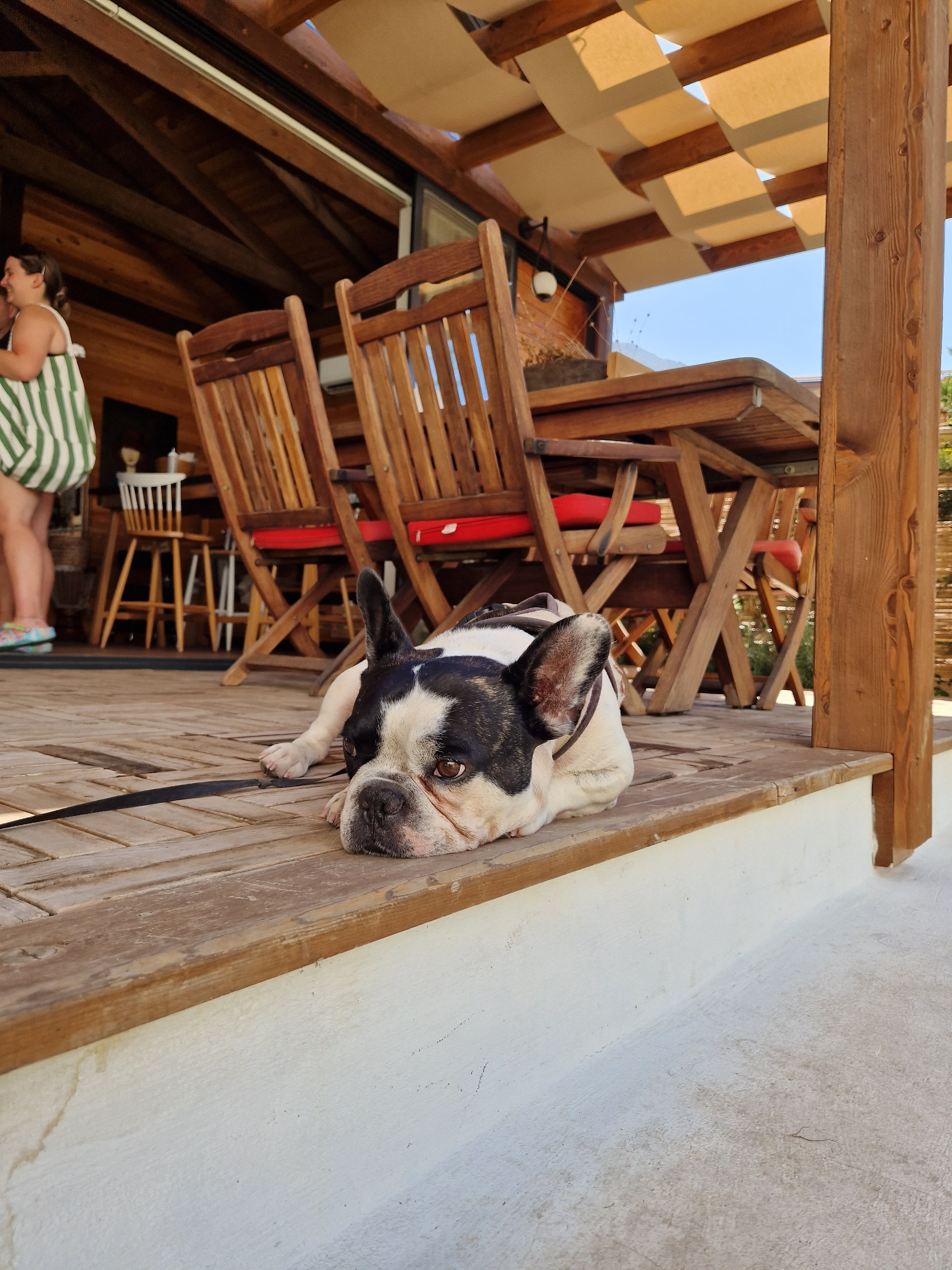 Фото Ölüdeniz Blu Luxury Unique Hotel