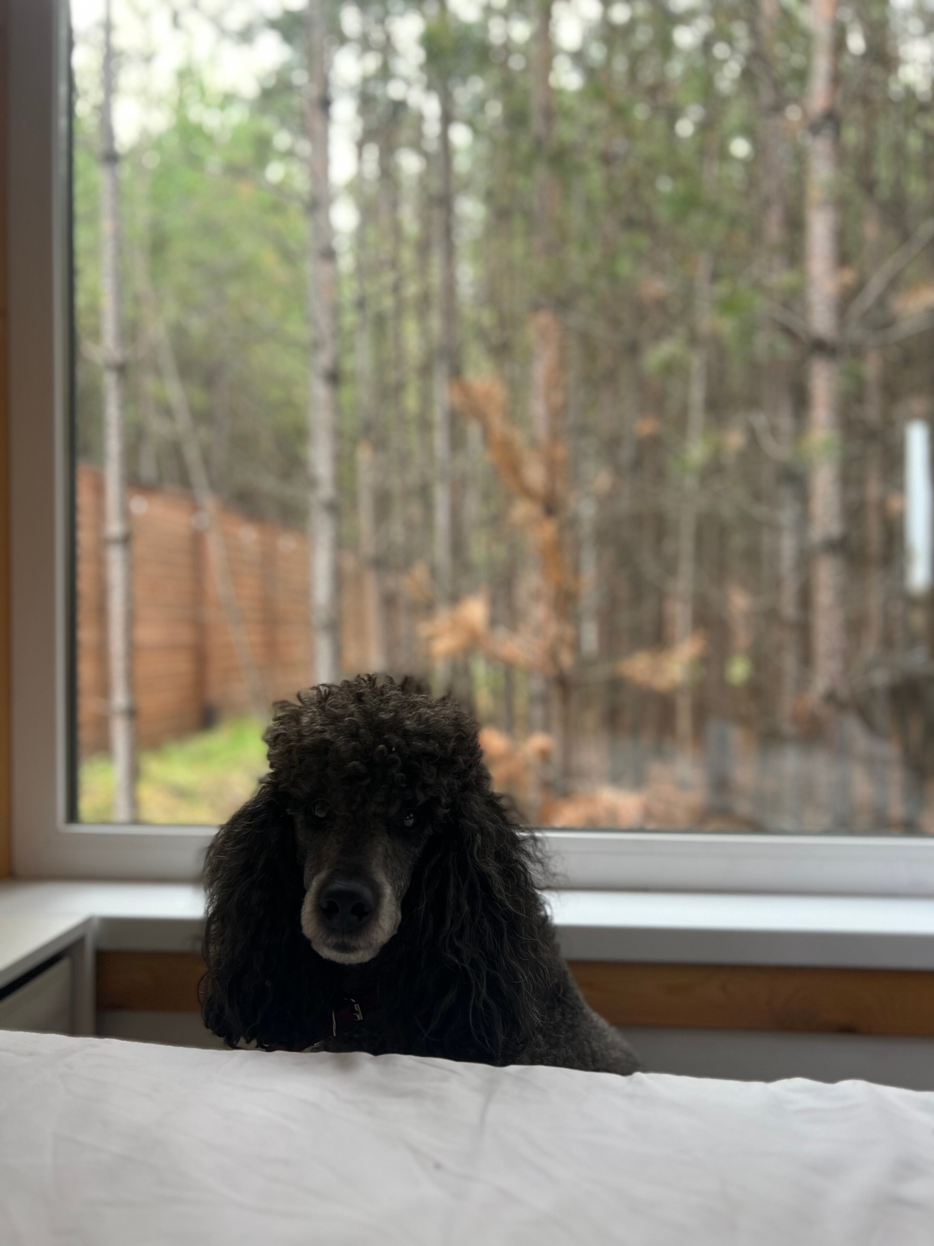 Фото Scandi Village