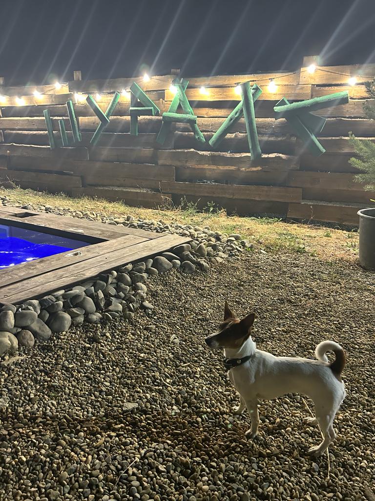 Фото Шурале