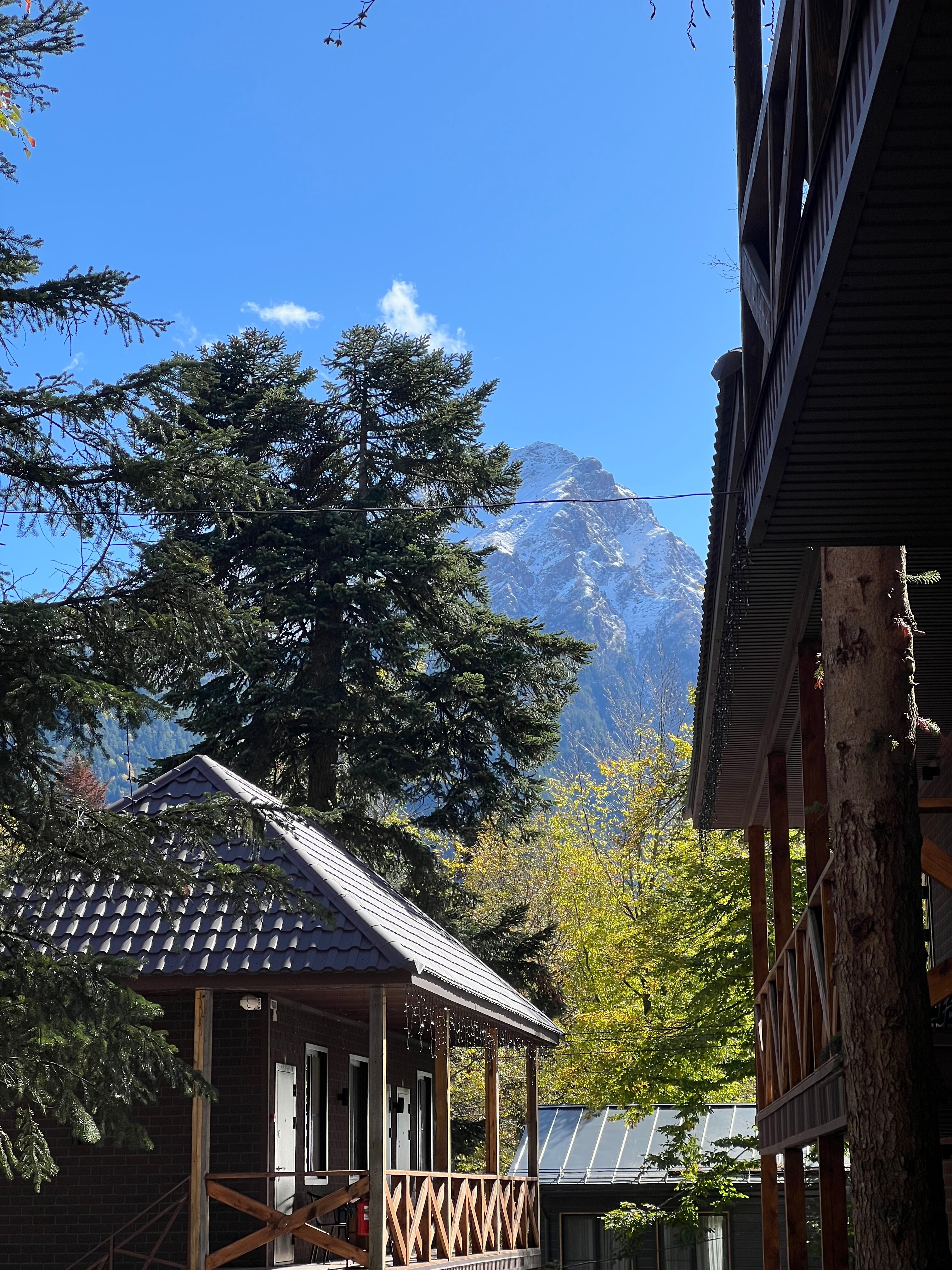 Фото Дубрава