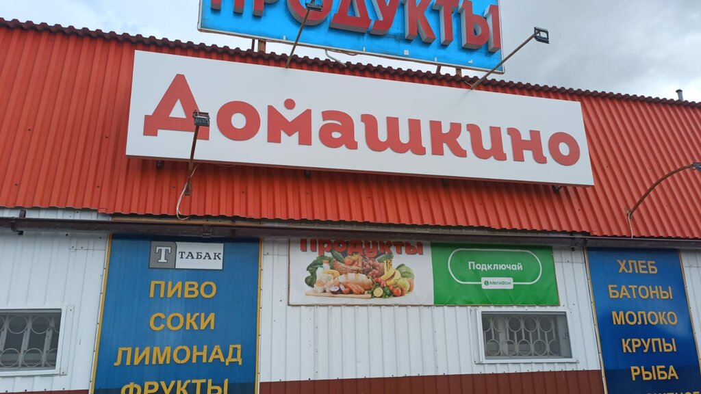 Магазин продуктов Домашкино, Ульяновская область, фото