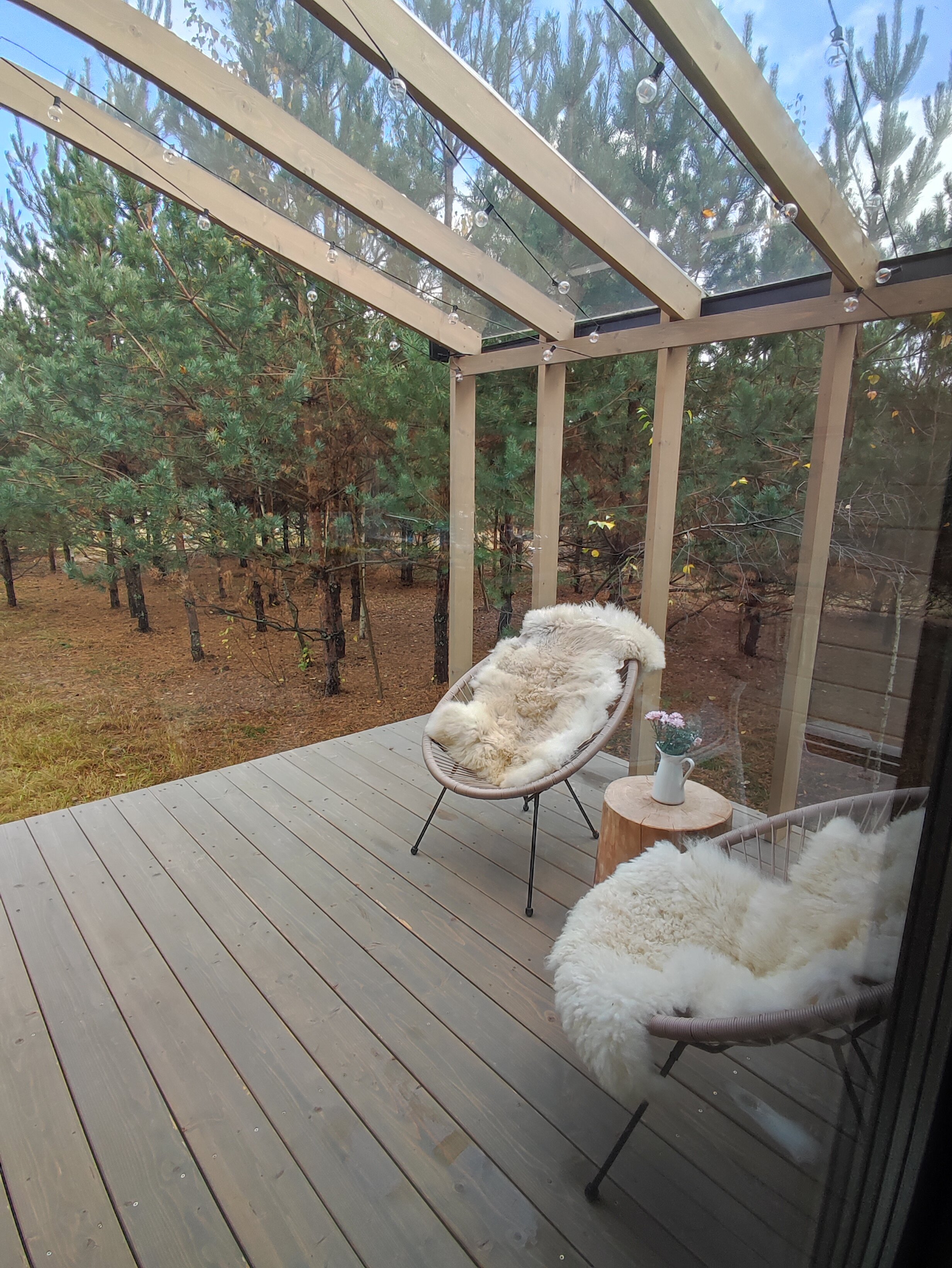 Фото Дача в соснах