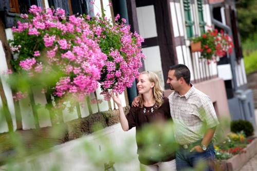 Фото Ibis Haguenau Strasbourg Nord
