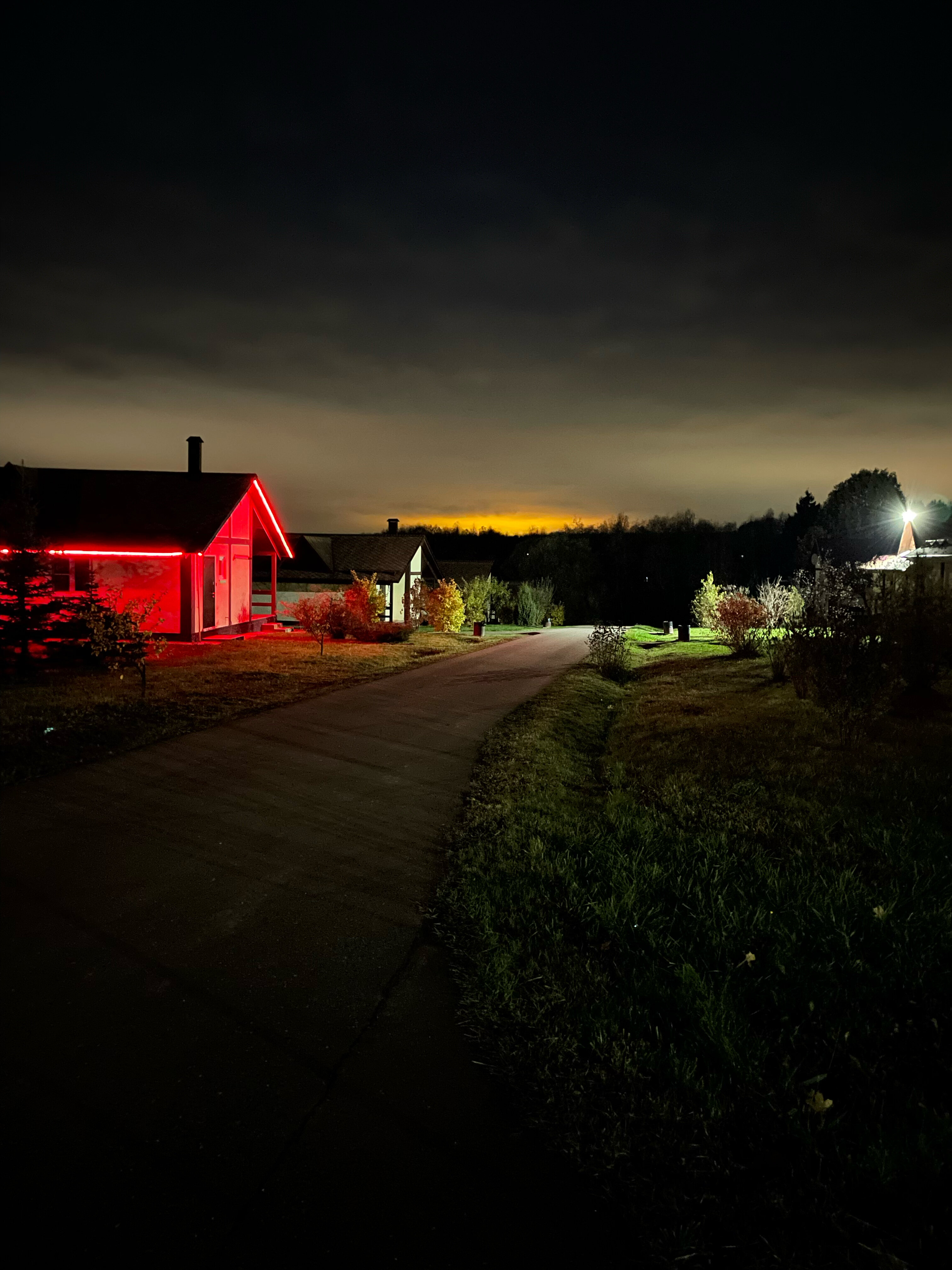 Фото Иволга