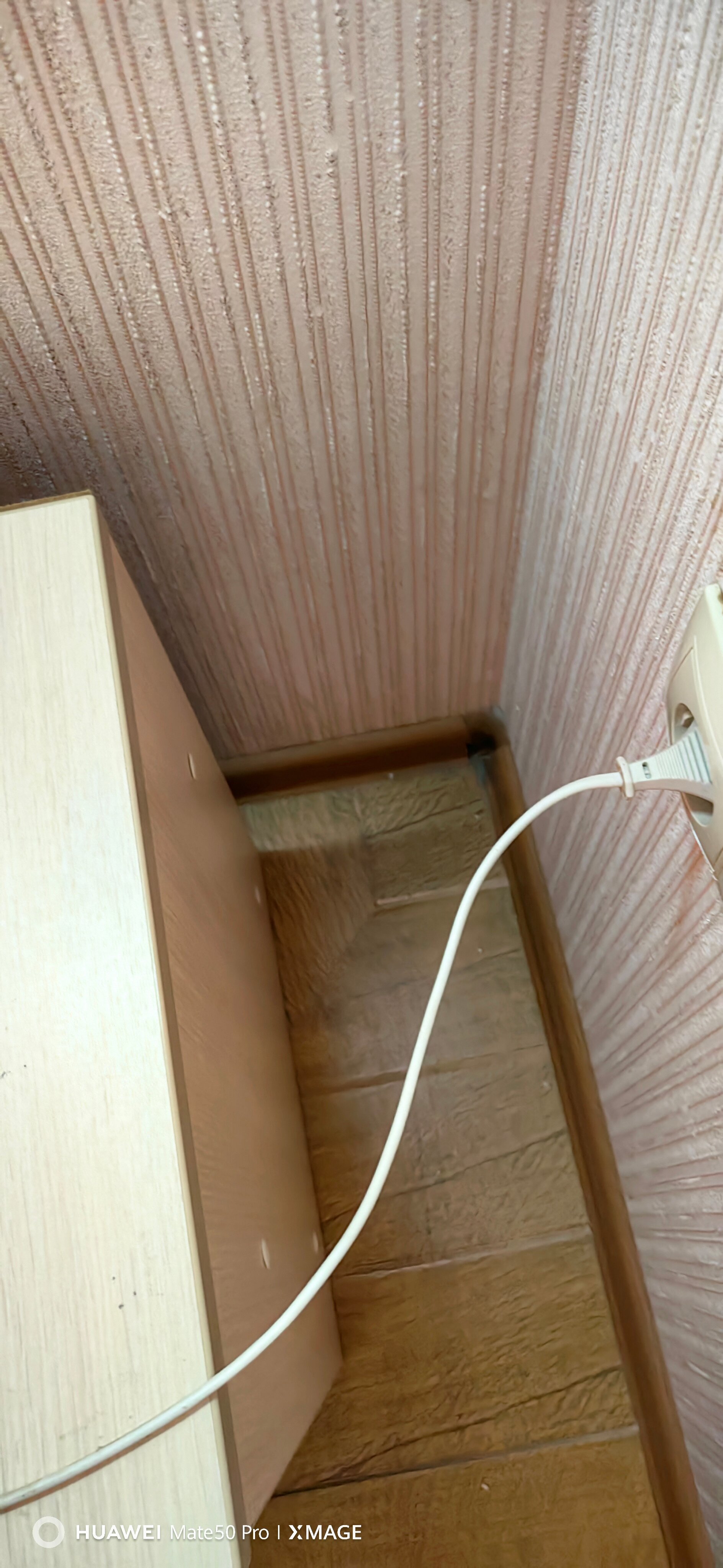 Фото Орбита