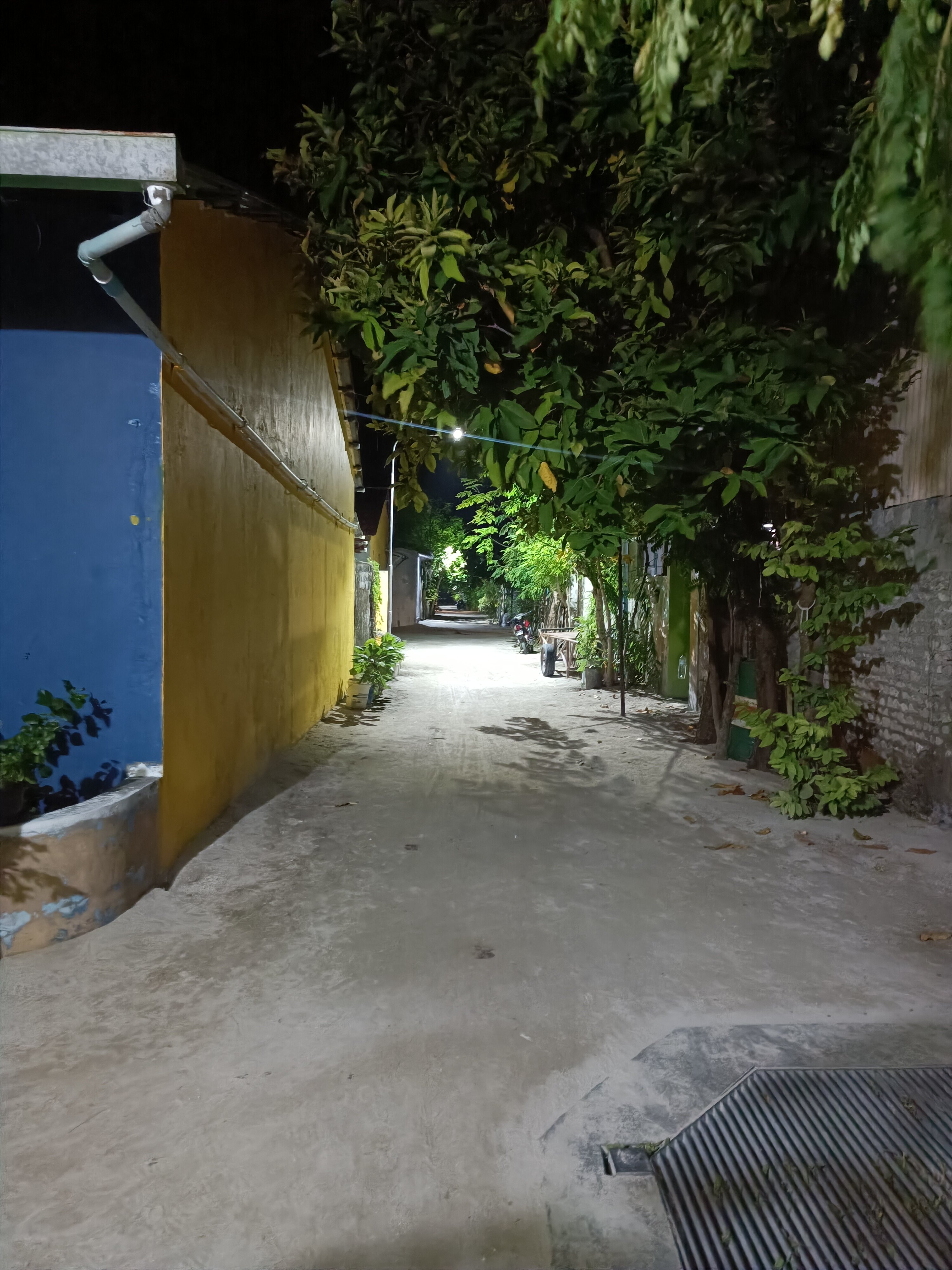 Фото Ocean Retreat & SPA