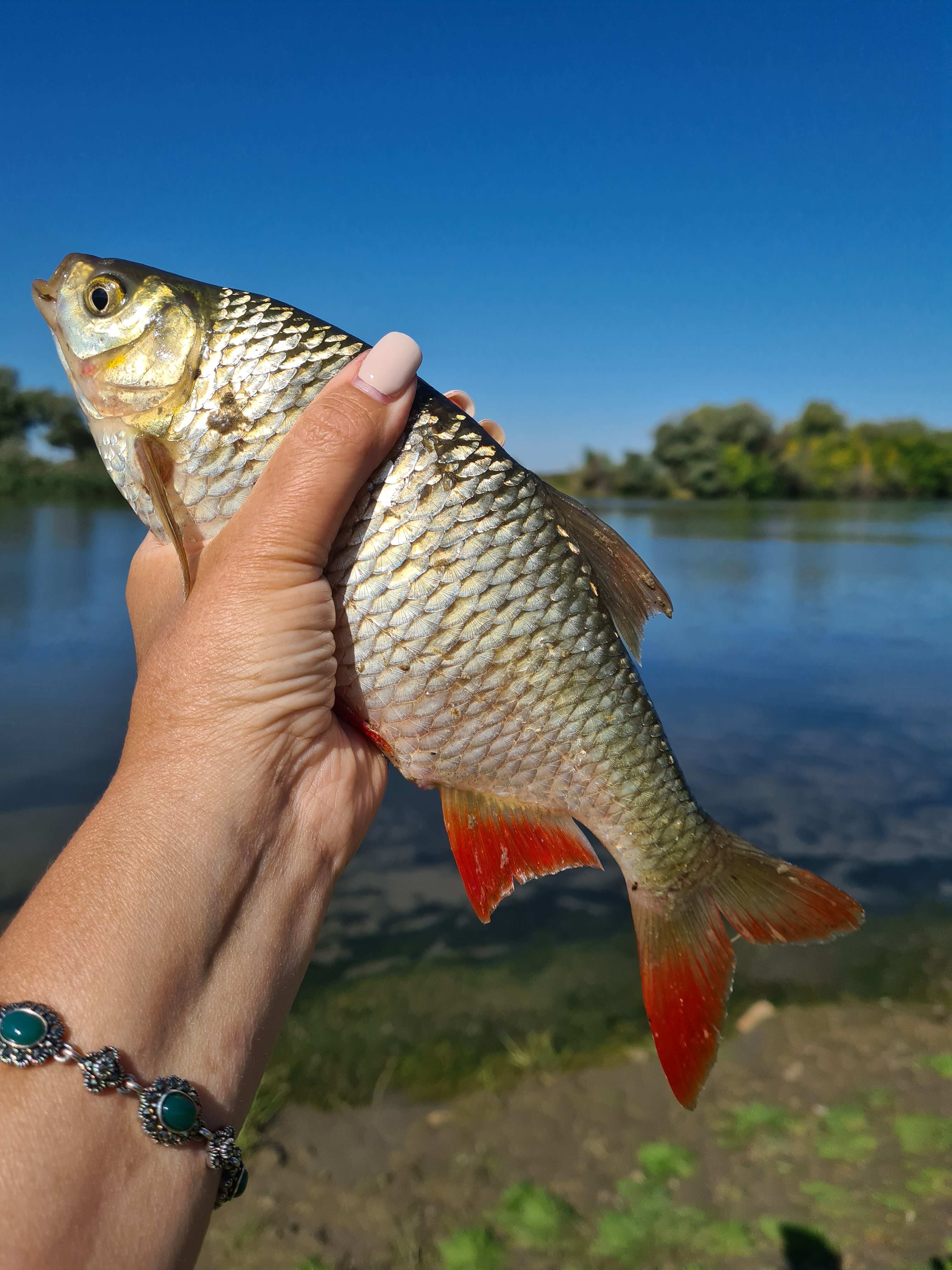 Фото Клёвое место