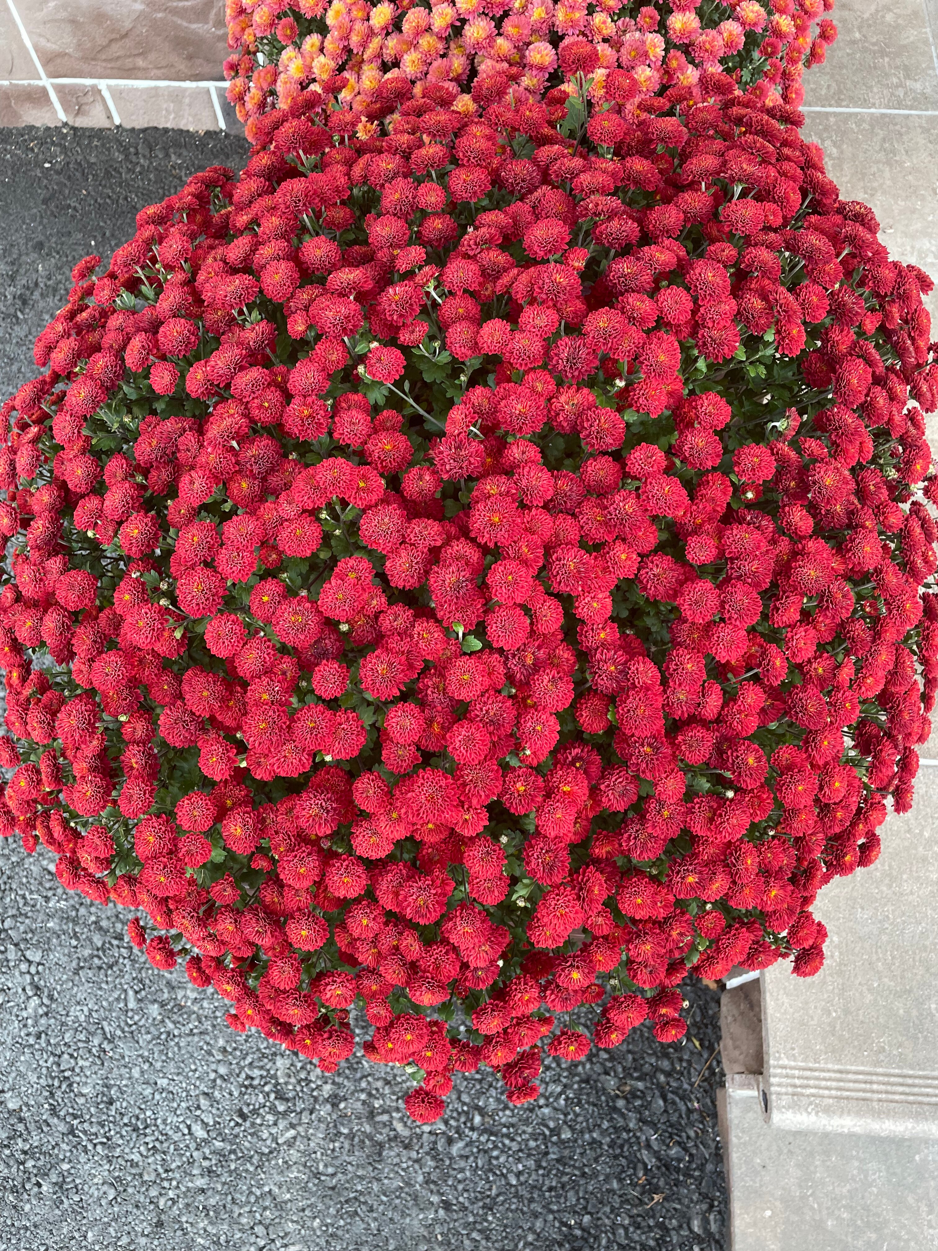 Фото Турист