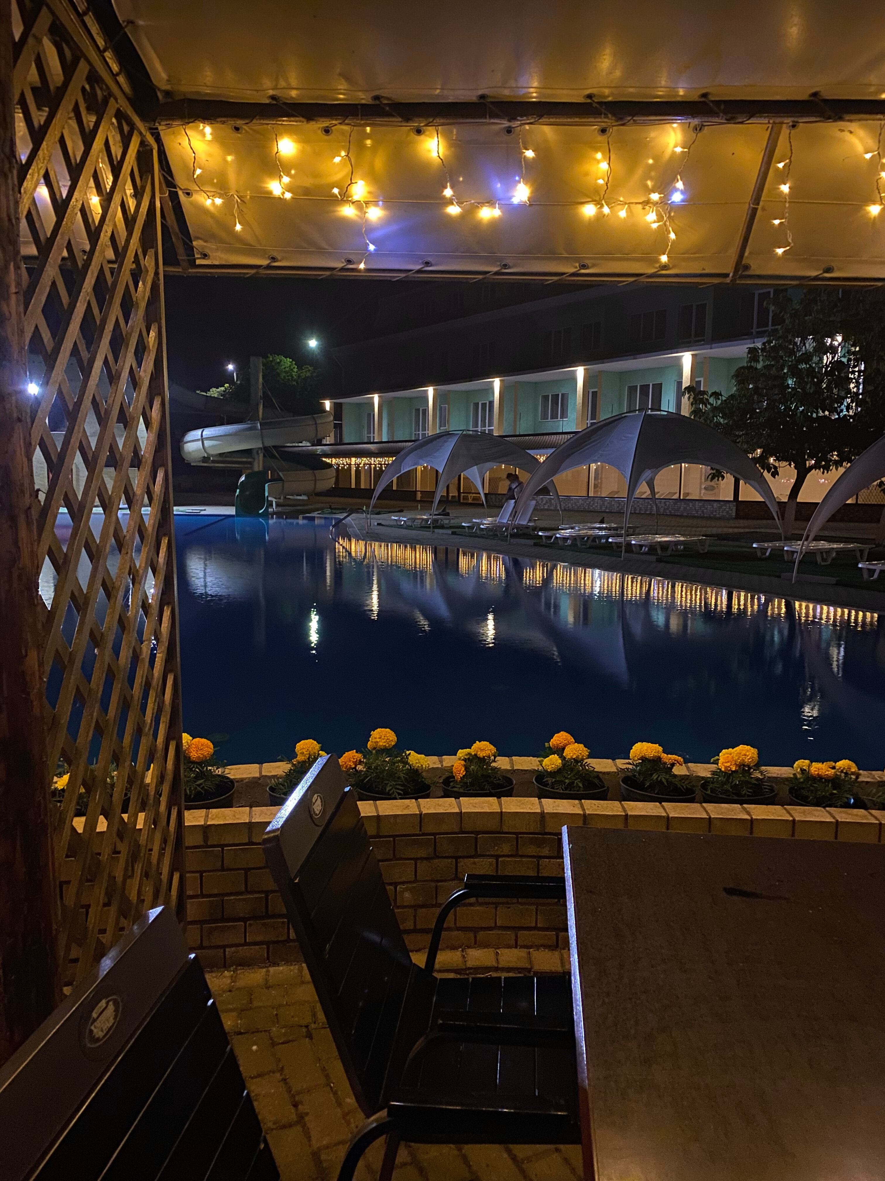 Фото Золотое Руно