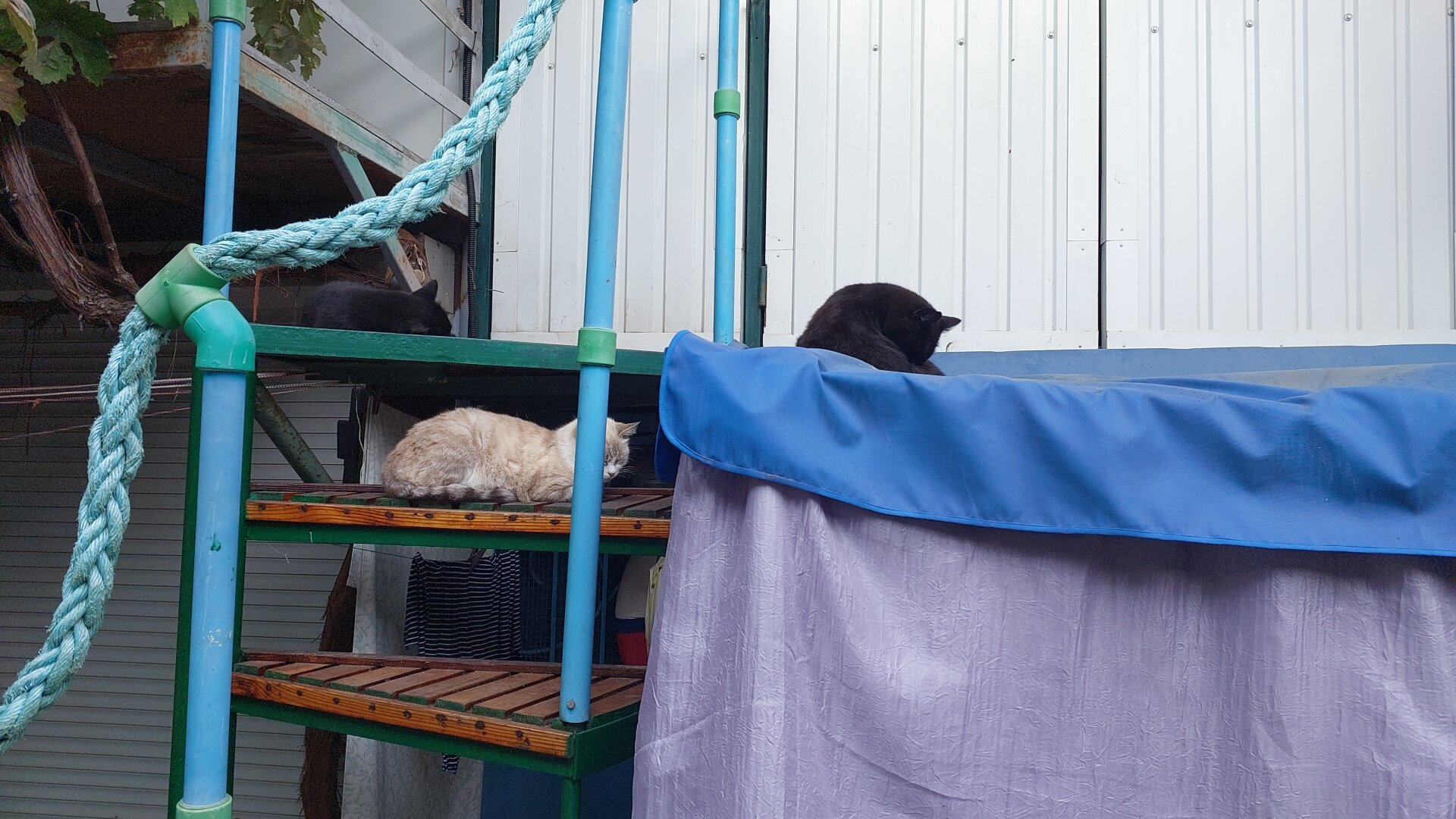 Фото Рыбачий Стан