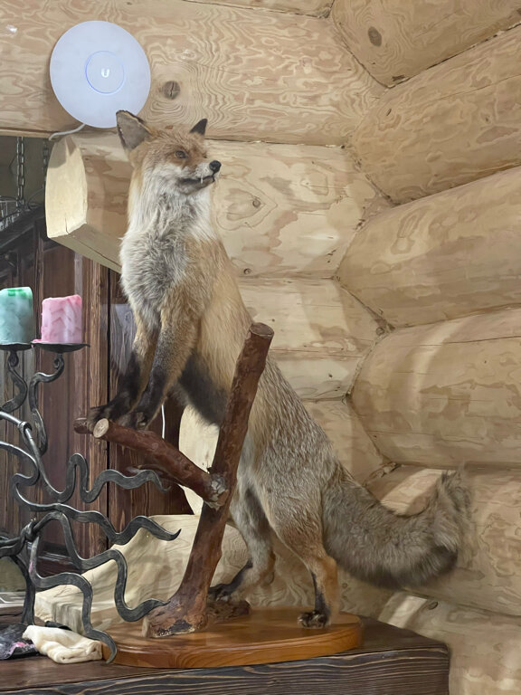 Фото Парк-отель Красновидово