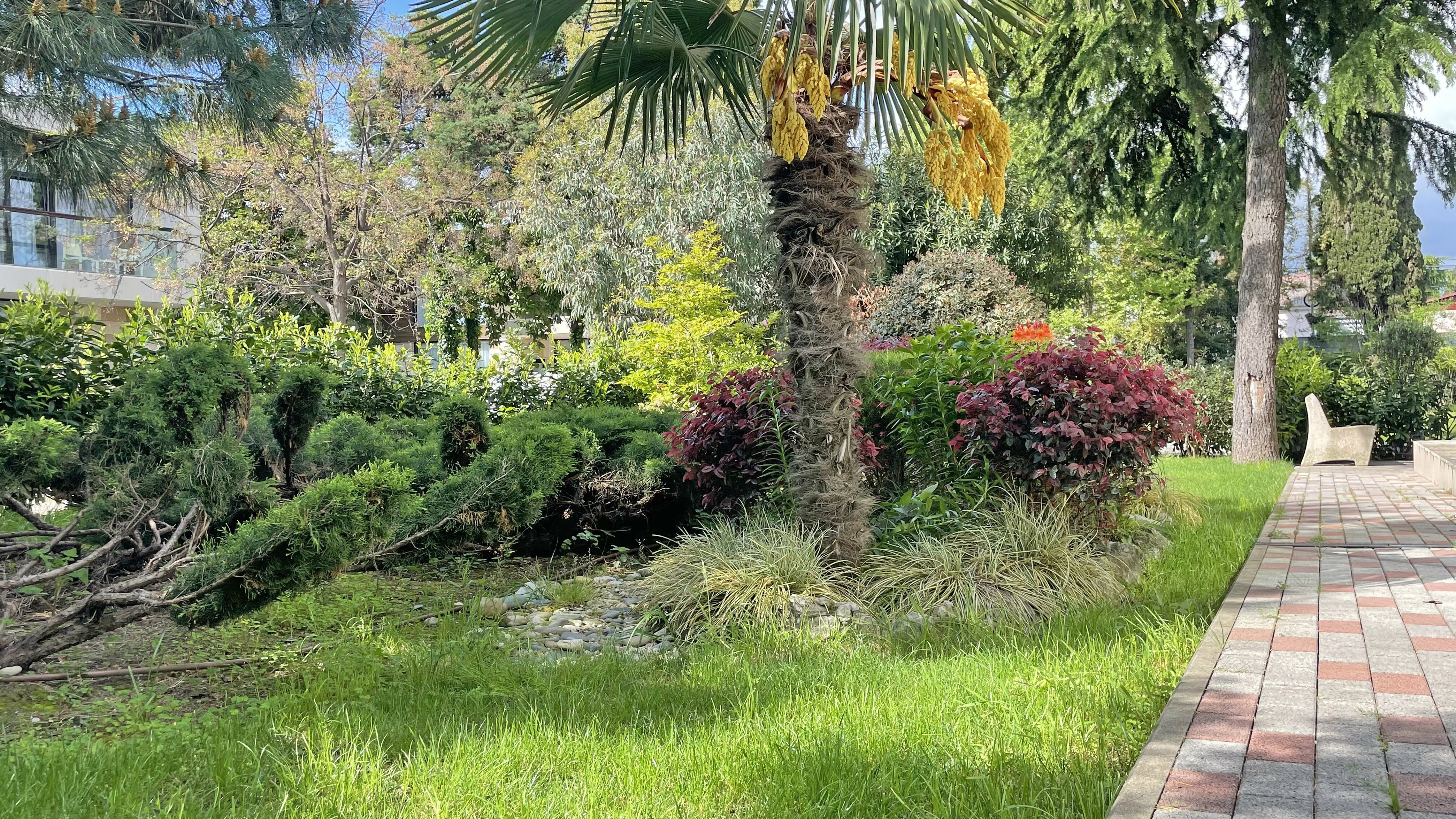 Фото Pulsar Villa Deluxe