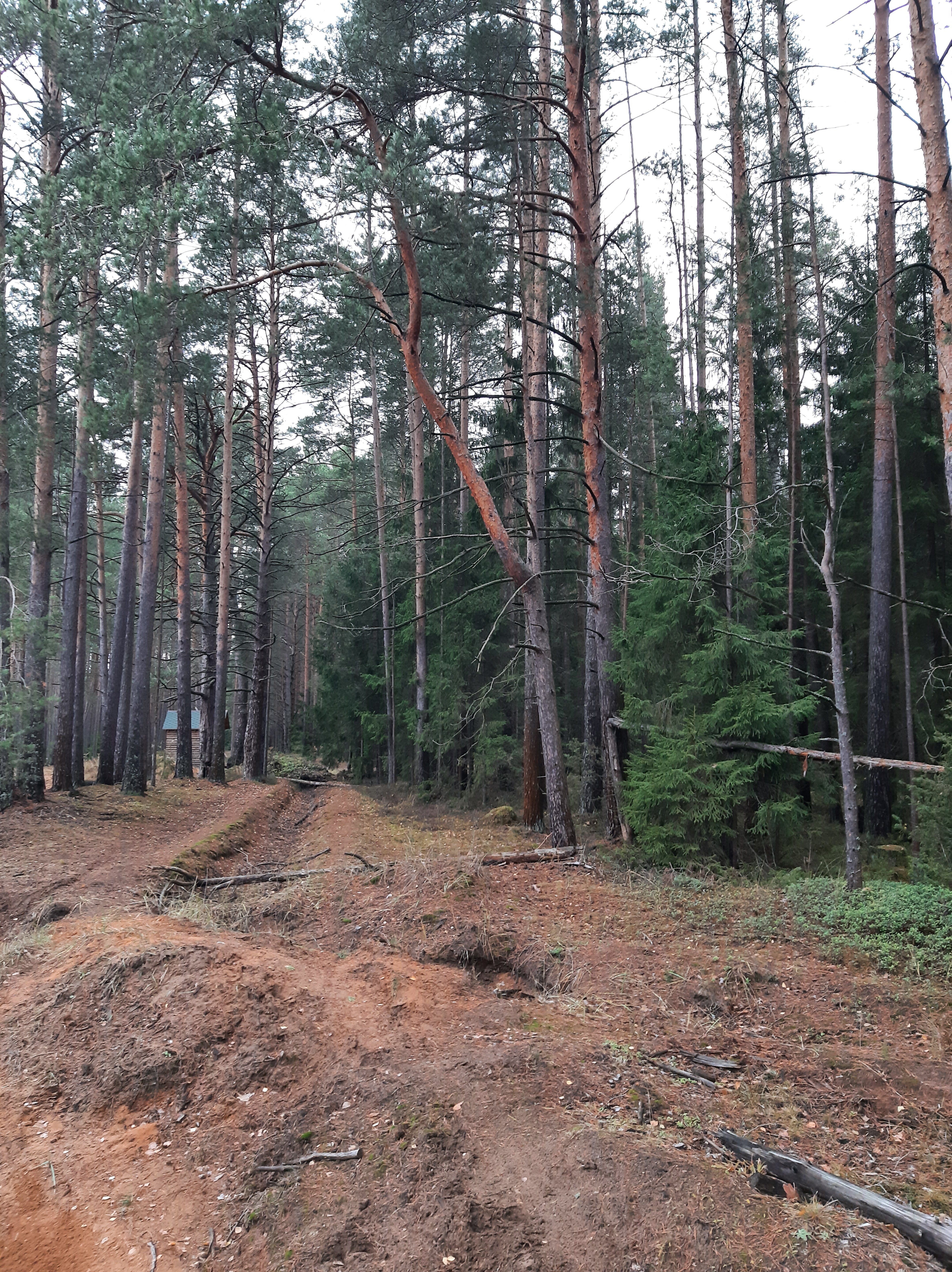 Фото ГлинтВуд