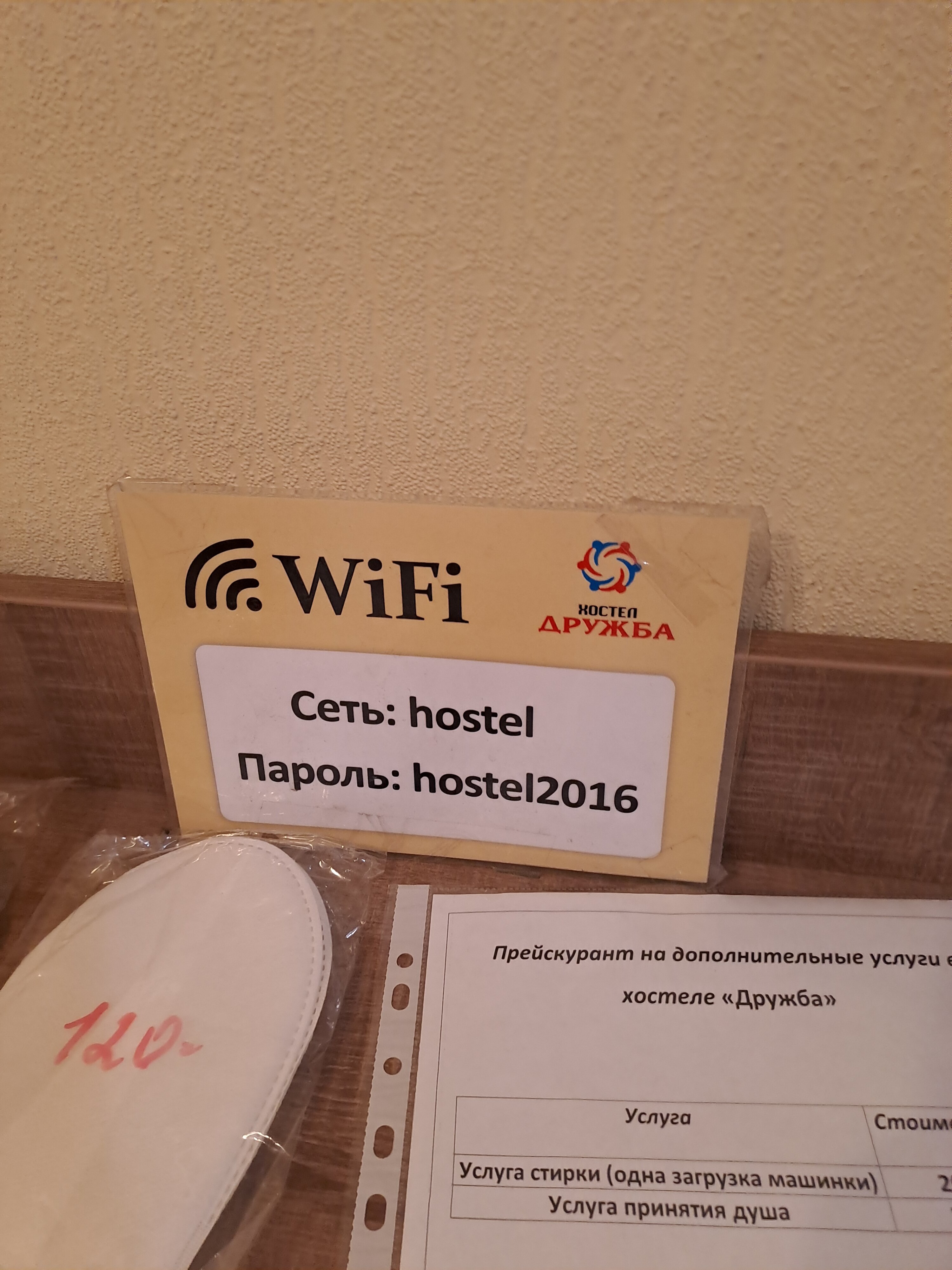 Фото Дружба