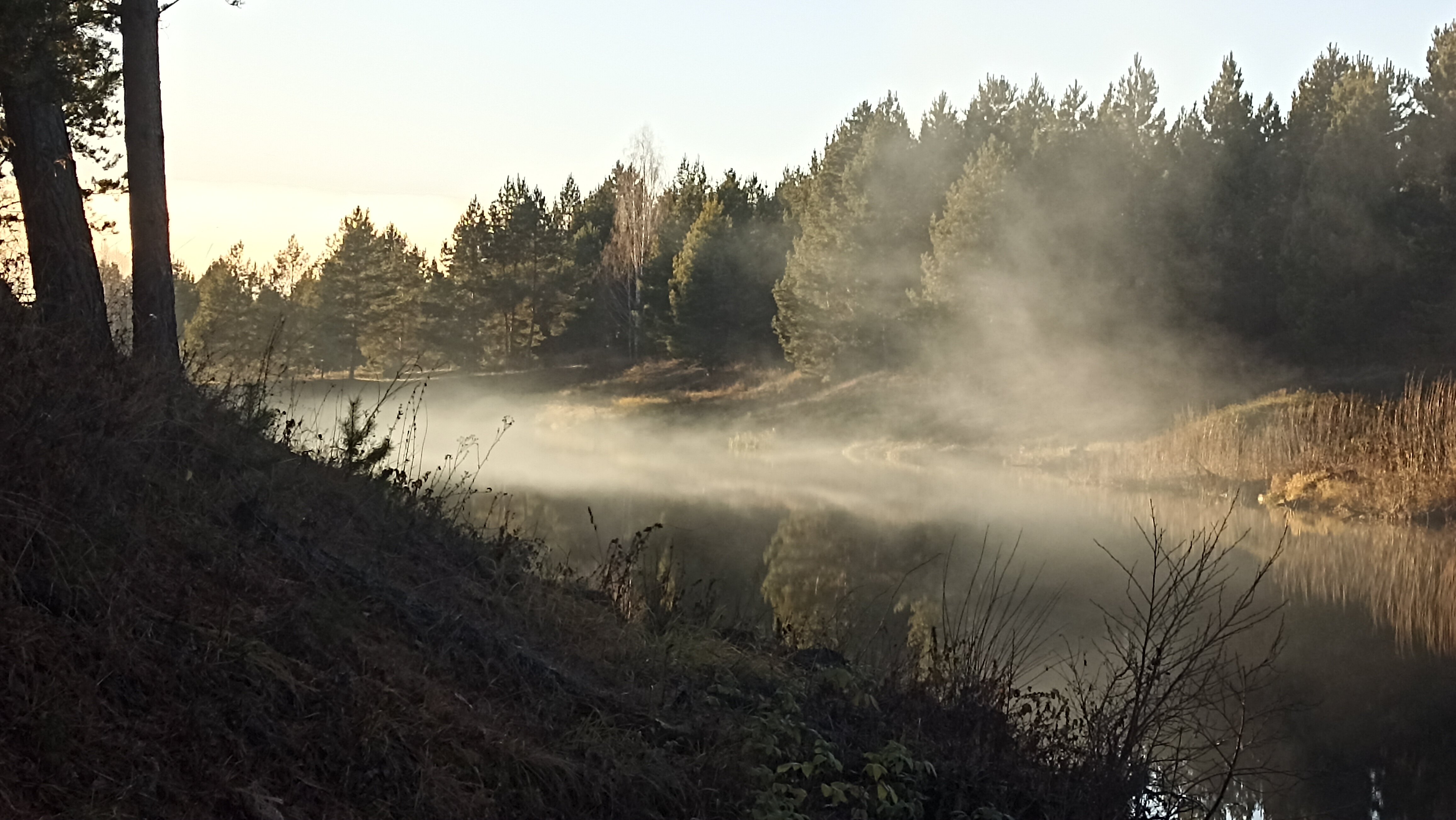 Фото Парк Чёшталей