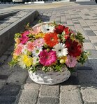 Skav-Flowers (Малоземельская ул., 5А), доставка цветов и букетов в Новороссийске