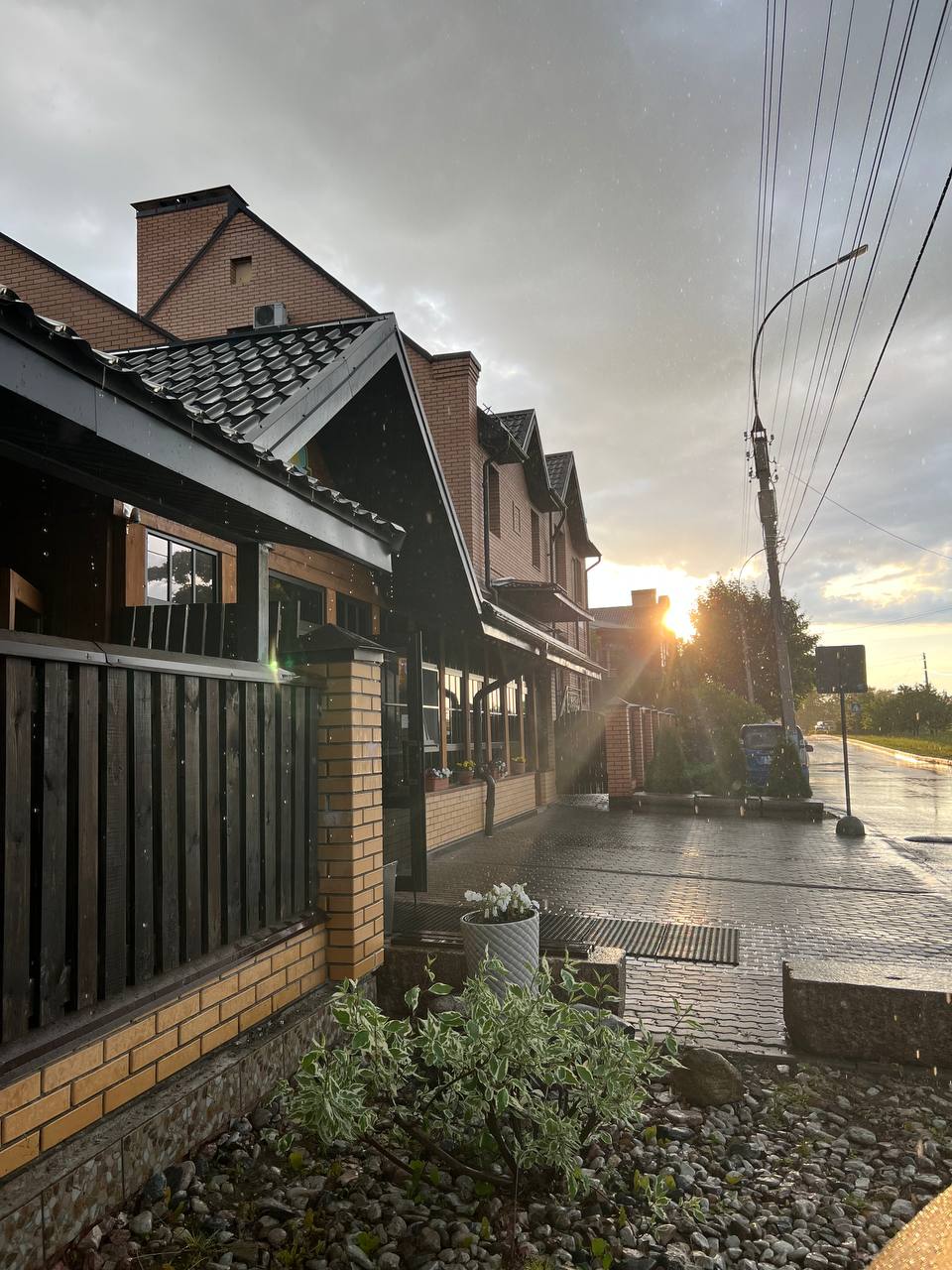 Фото Три кота