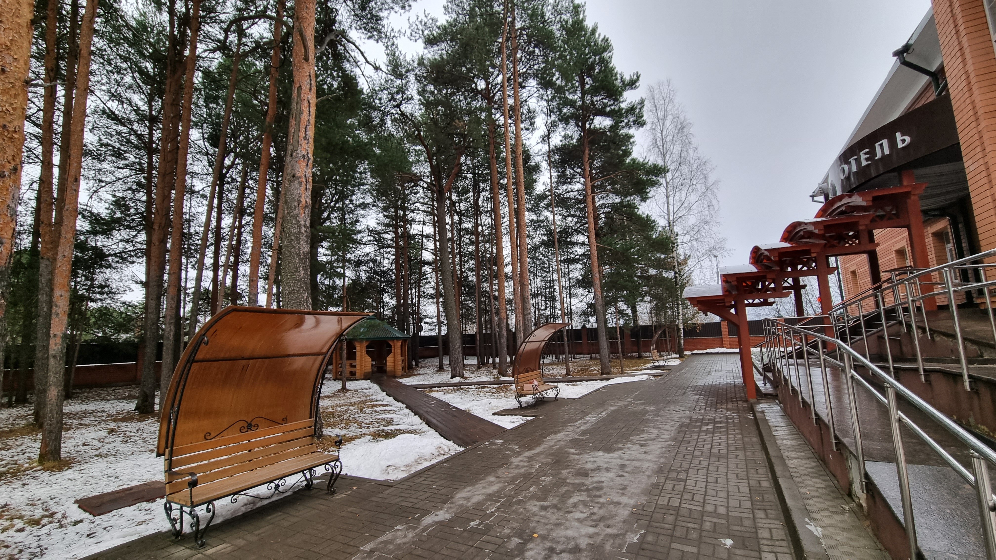 Фото Гледен