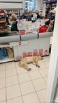 Magnit (Zavyalovo Village, Kalinina Street, 61А), grocery