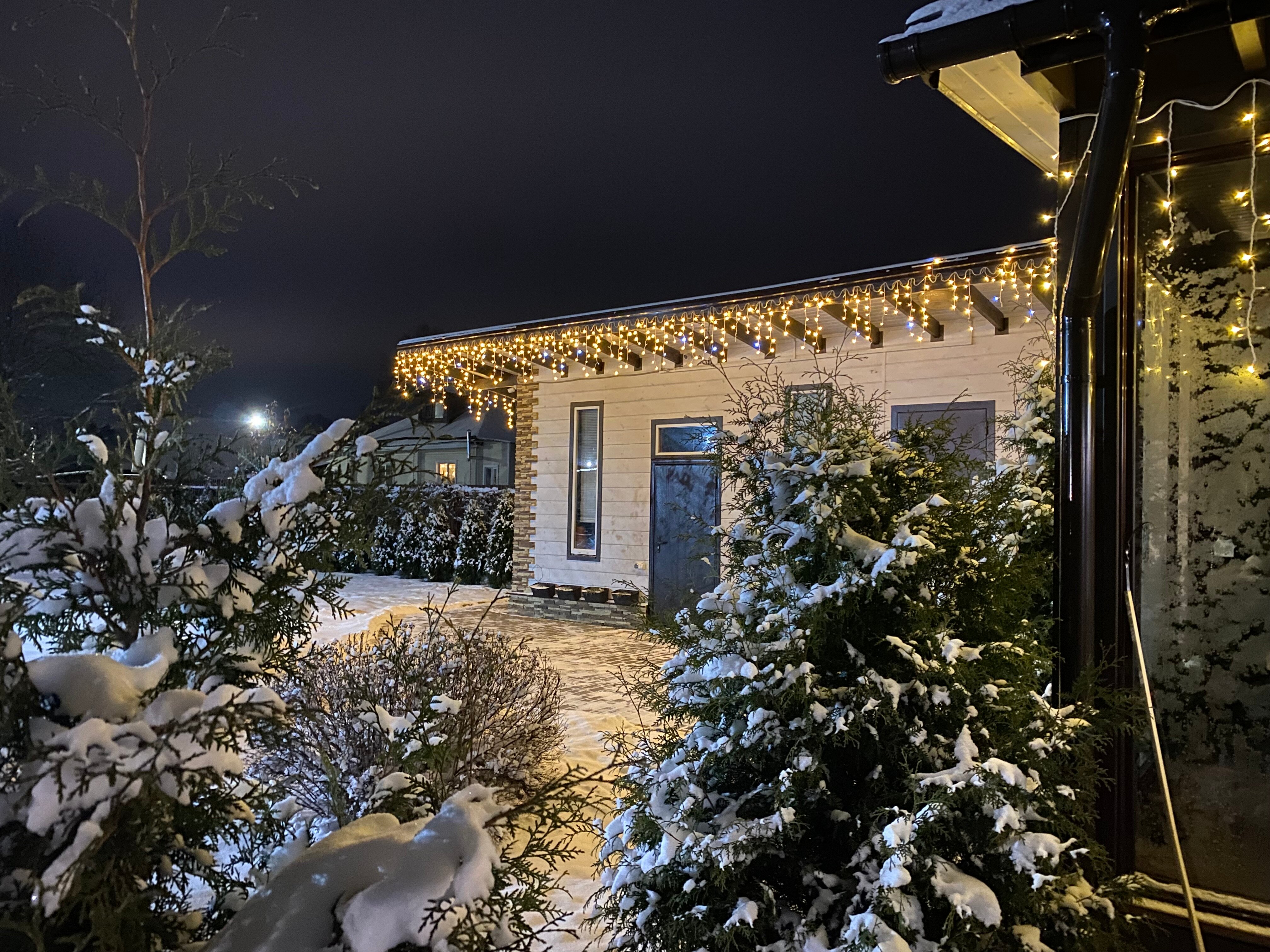 Фото Метелица