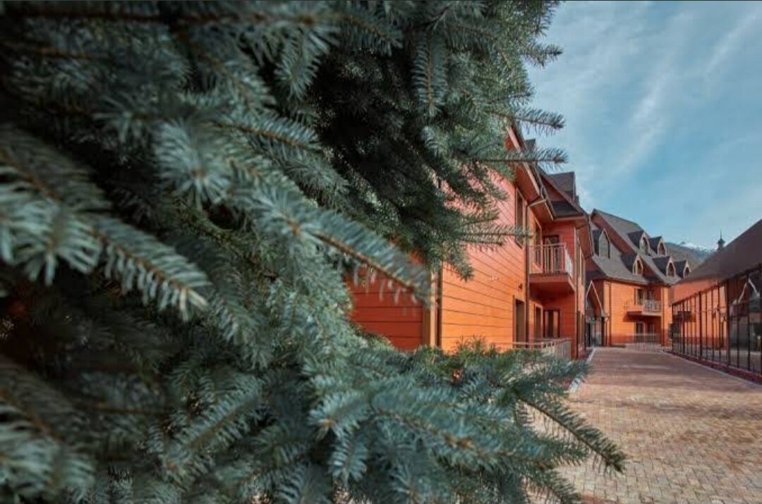 Фото Апартаменты