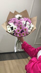 Мои цветы (ulitsa Mira, 8), flower shop