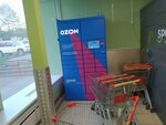 Ozon Box (Mendeleyeva Street, 201), servicio postamat