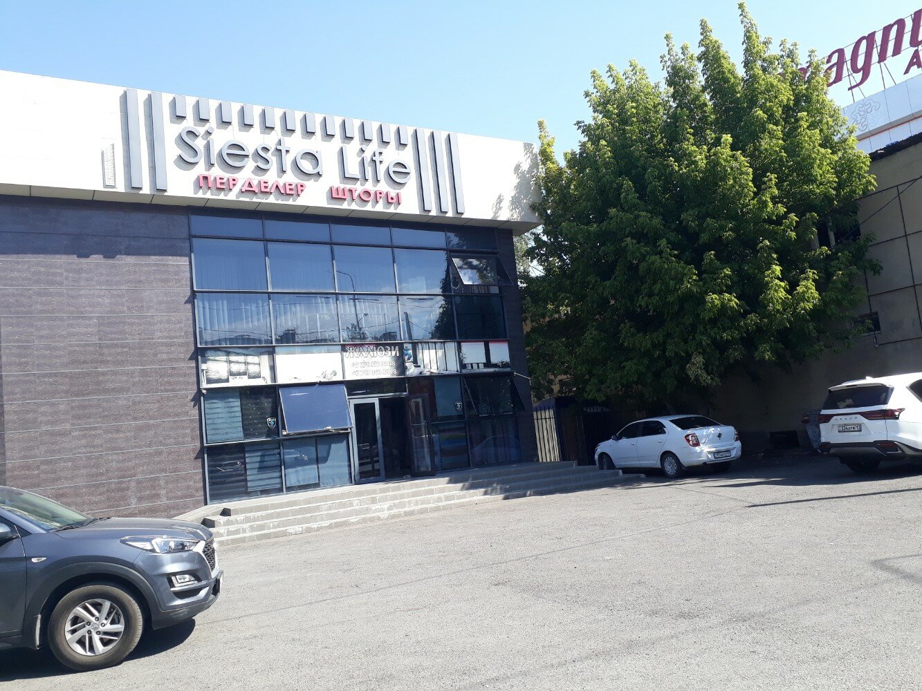 Атақты адамдардың жалған порно фотосуреттері