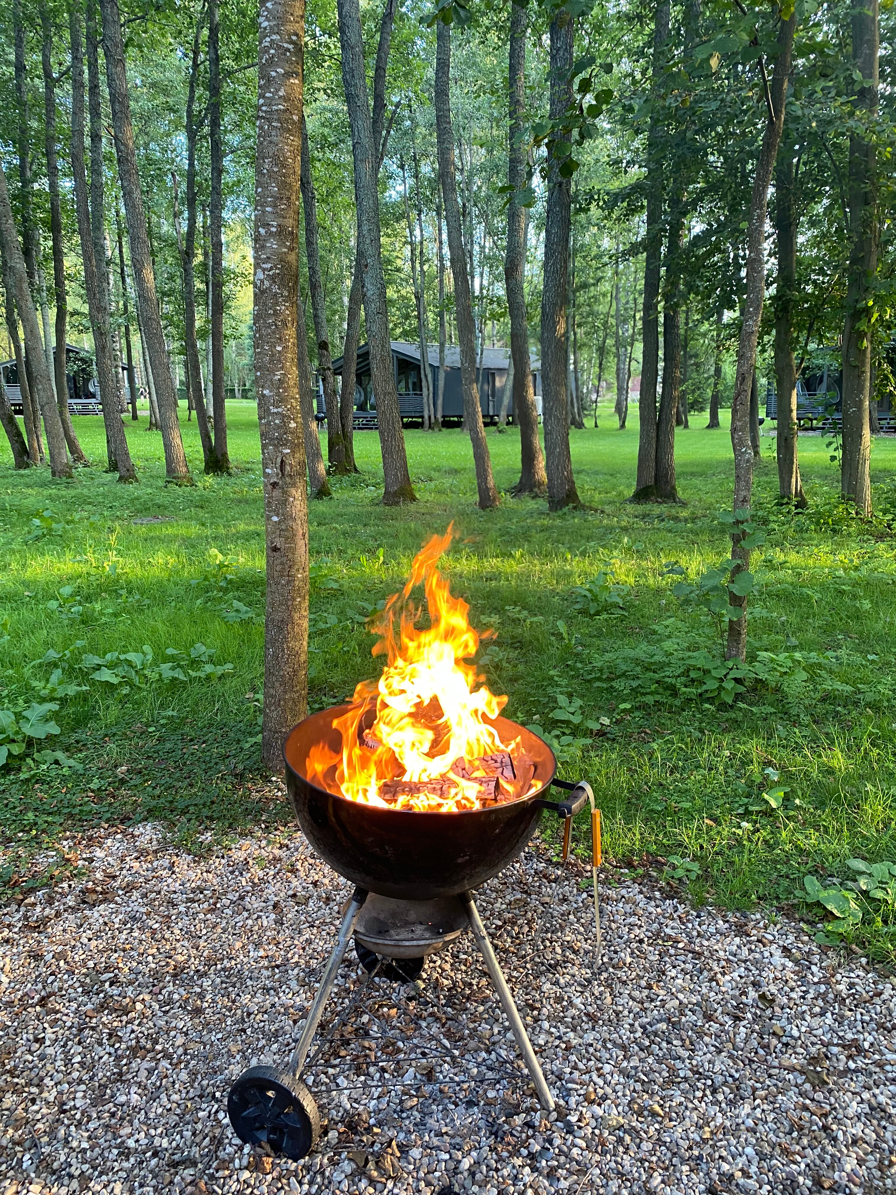 Фото Edimonovo Village