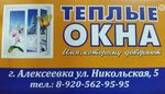 Teplyye okna (Nikolskaya ulitsa, 5), windows