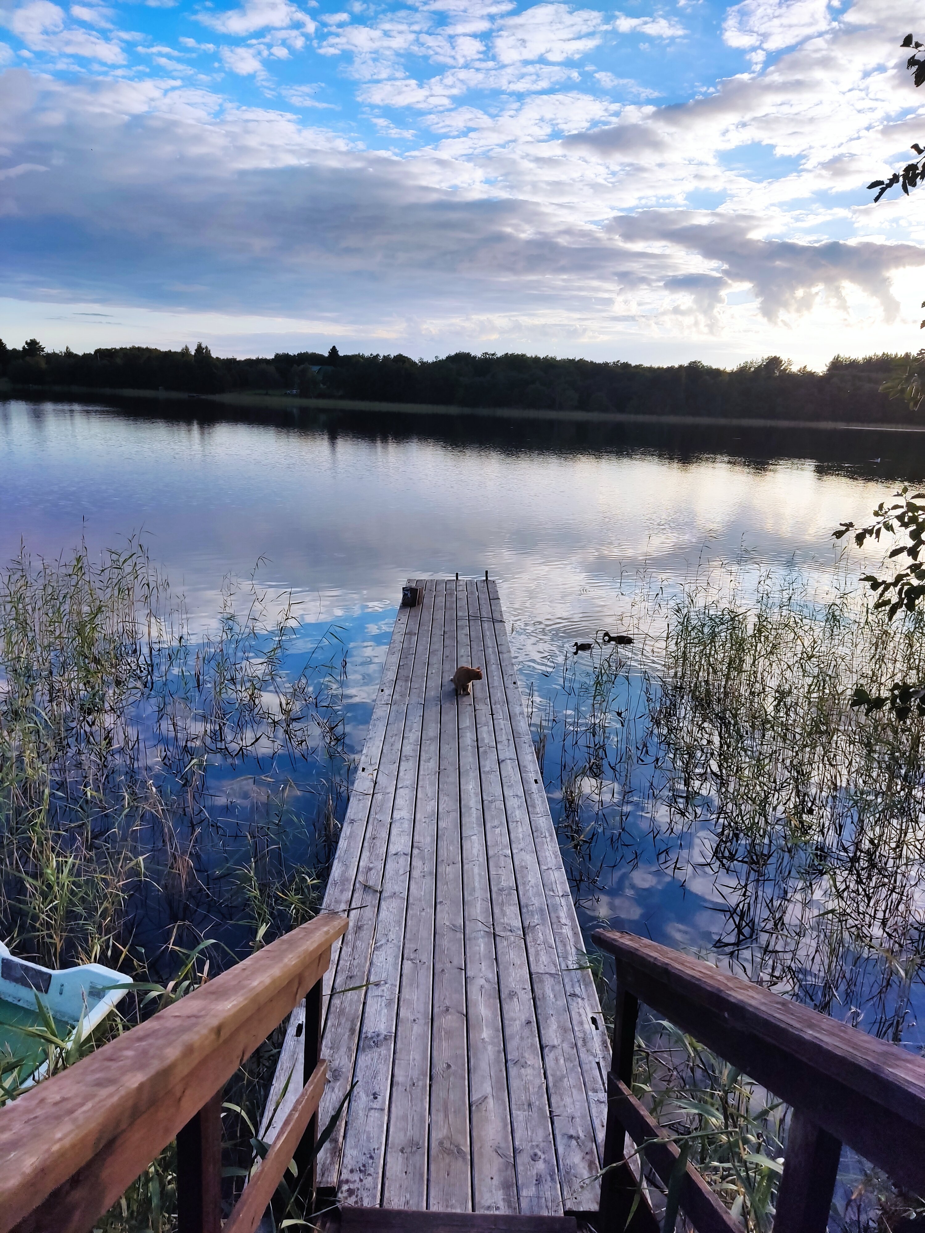 Фото Сеновал