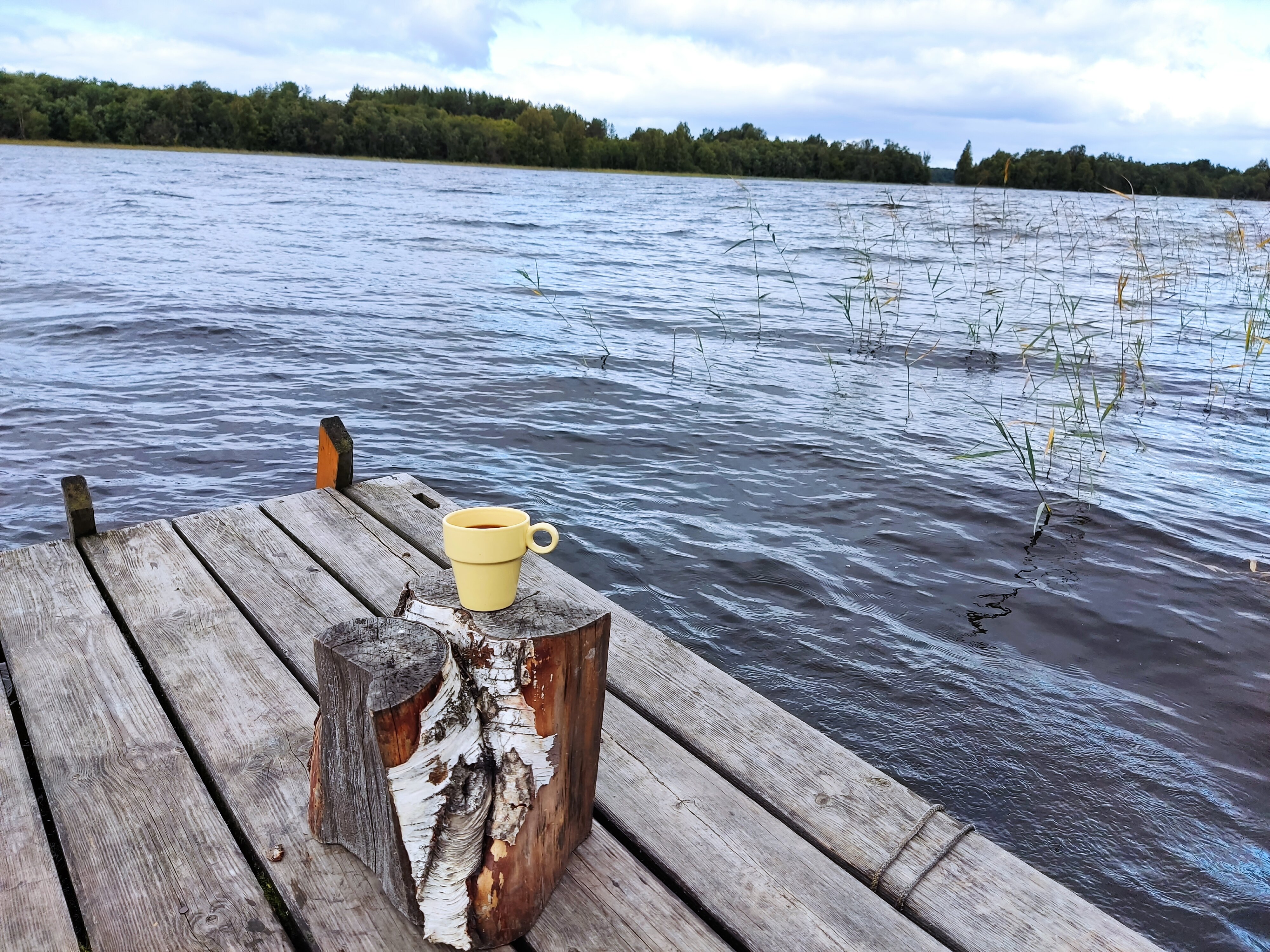 Фото Сеновал