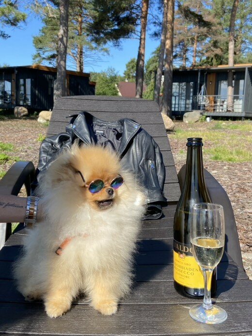 Фото Талео Хоум