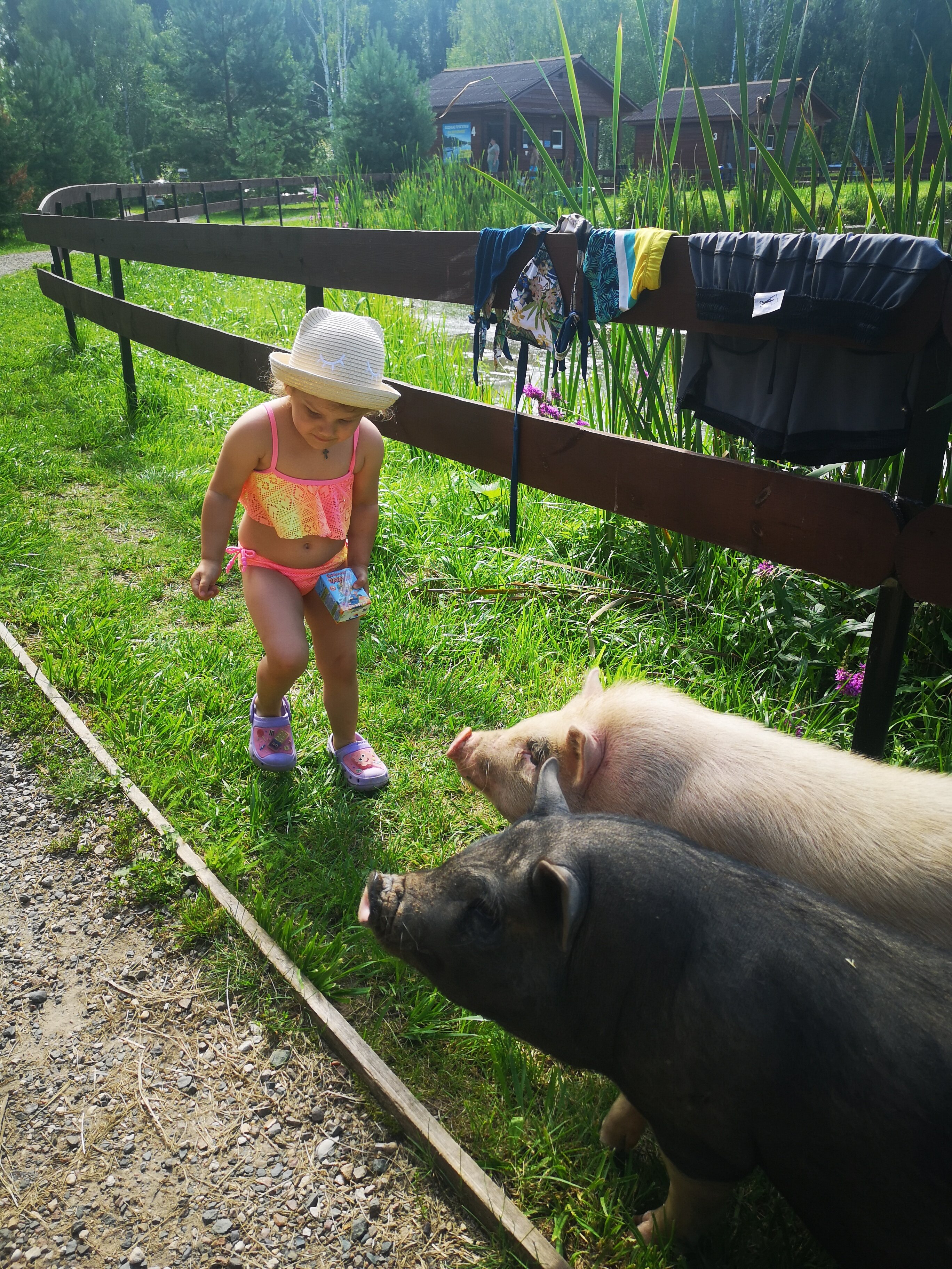 Фото Некрасовская дача